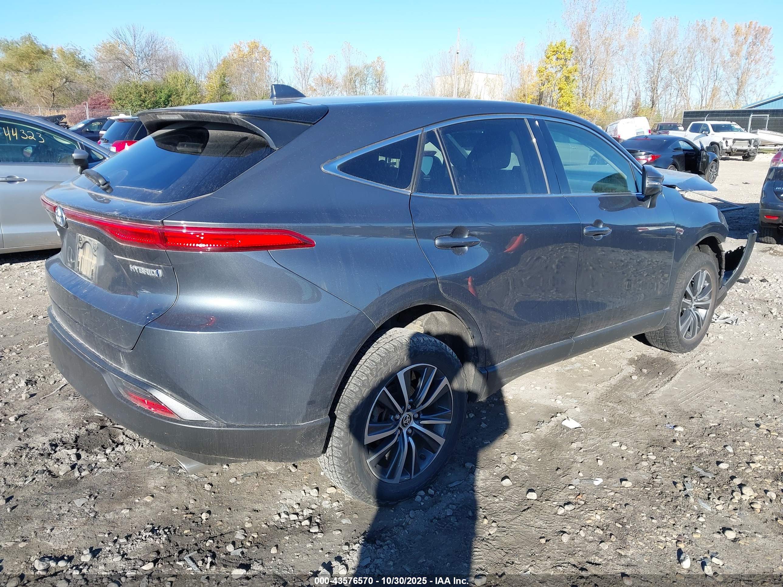 TOYOTA VENZA image 4