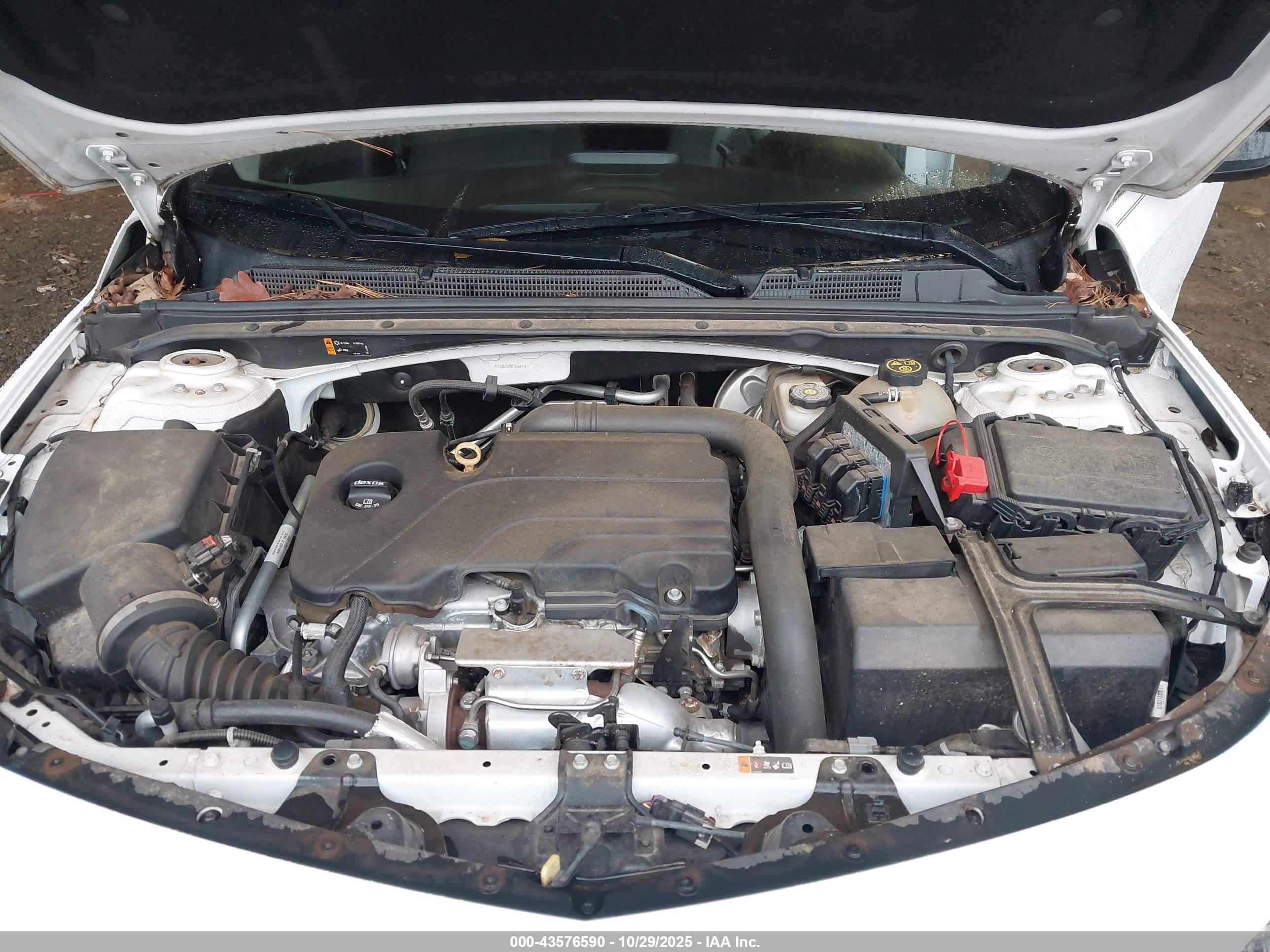 CHEVROLET MALIBU image 10
