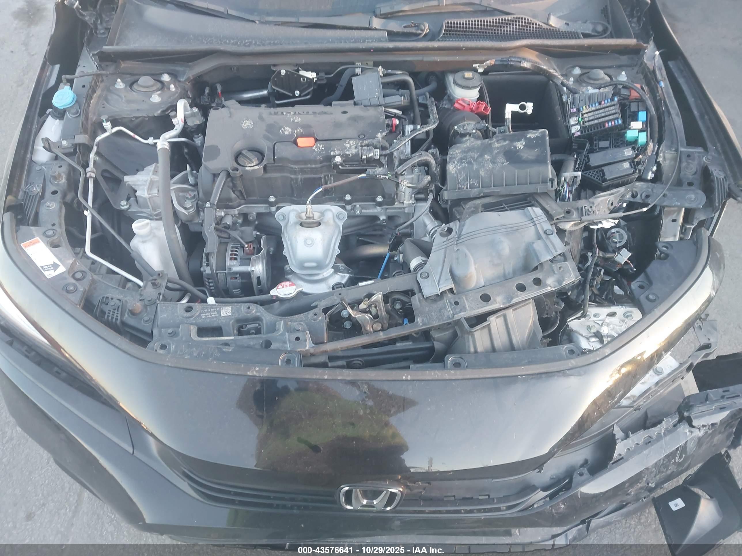 HONDA CIVIC image 10
