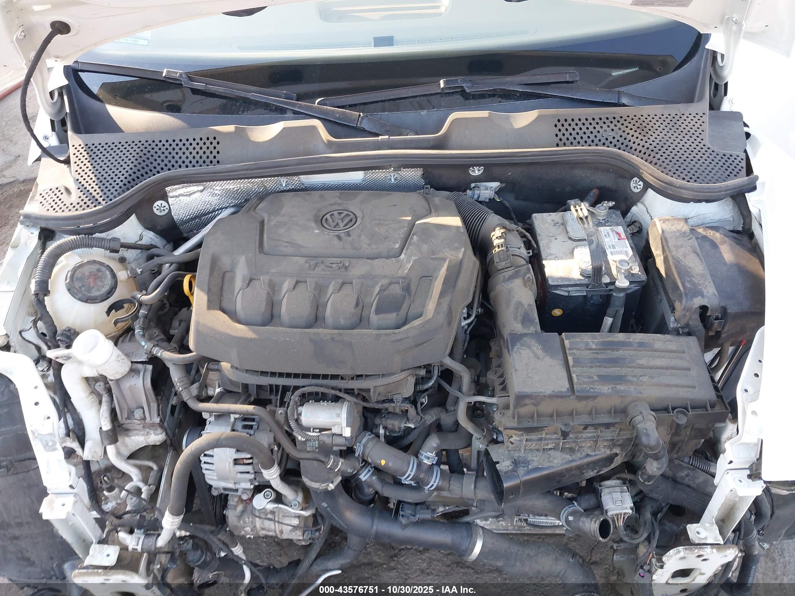 VOLKSWAGEN BEETLE image 10