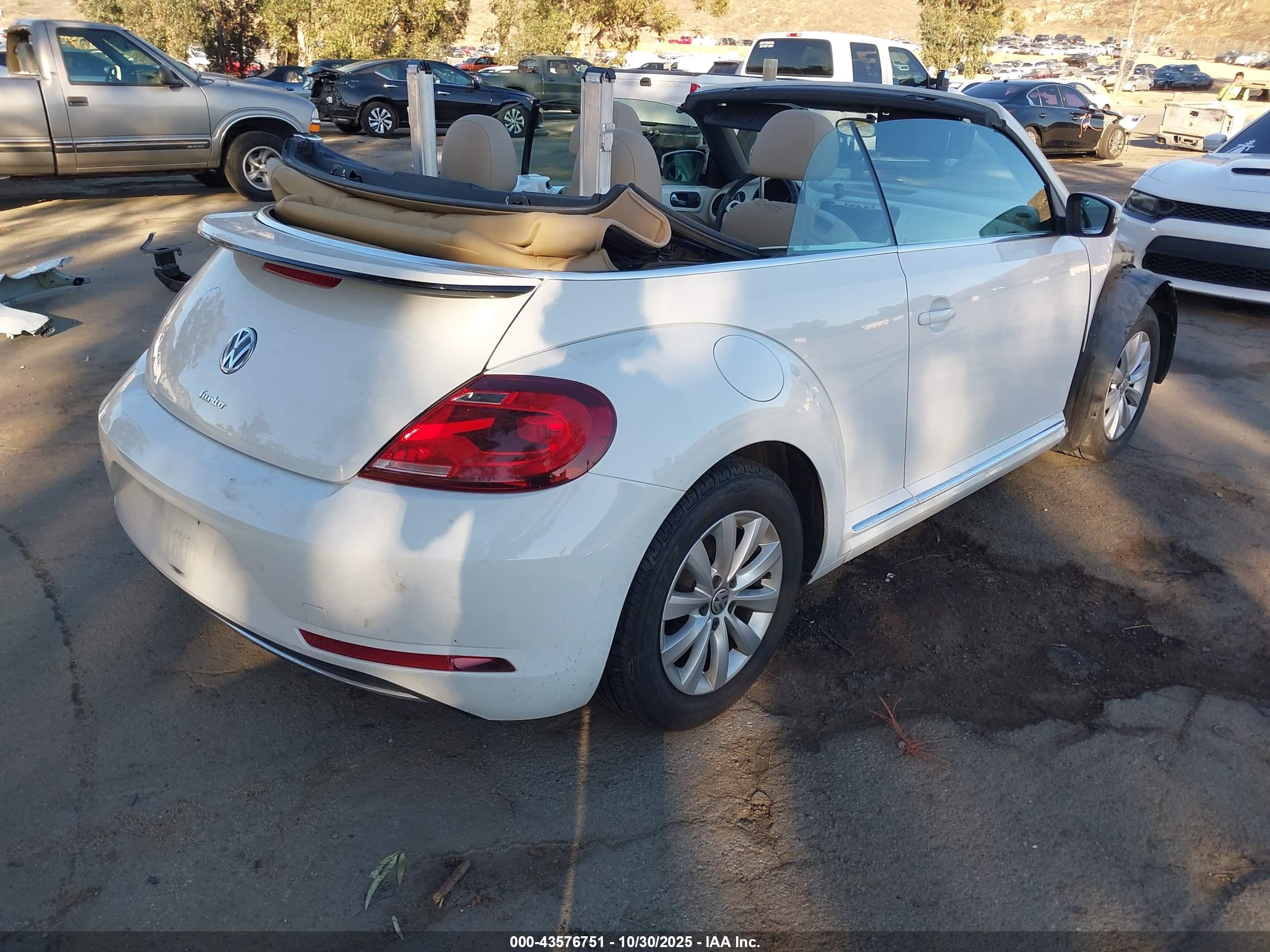 VOLKSWAGEN BEETLE image 4