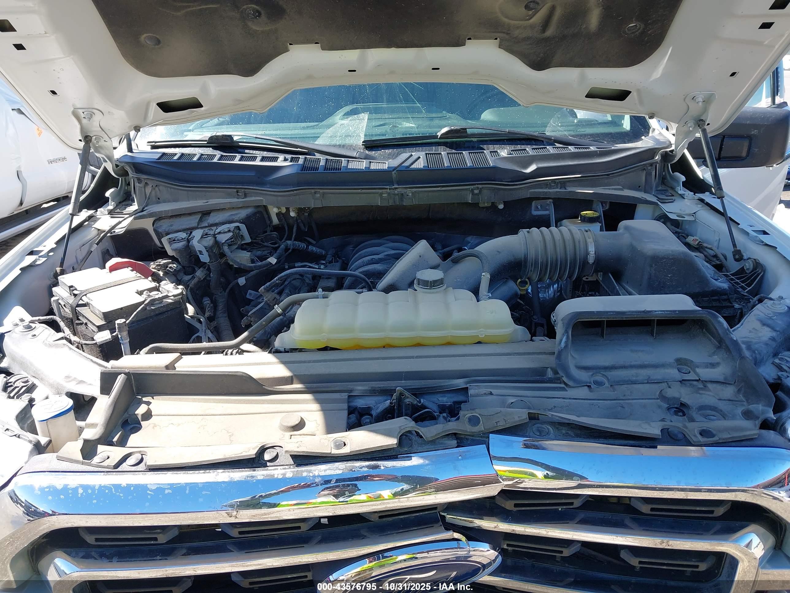FORD F-150 image 10