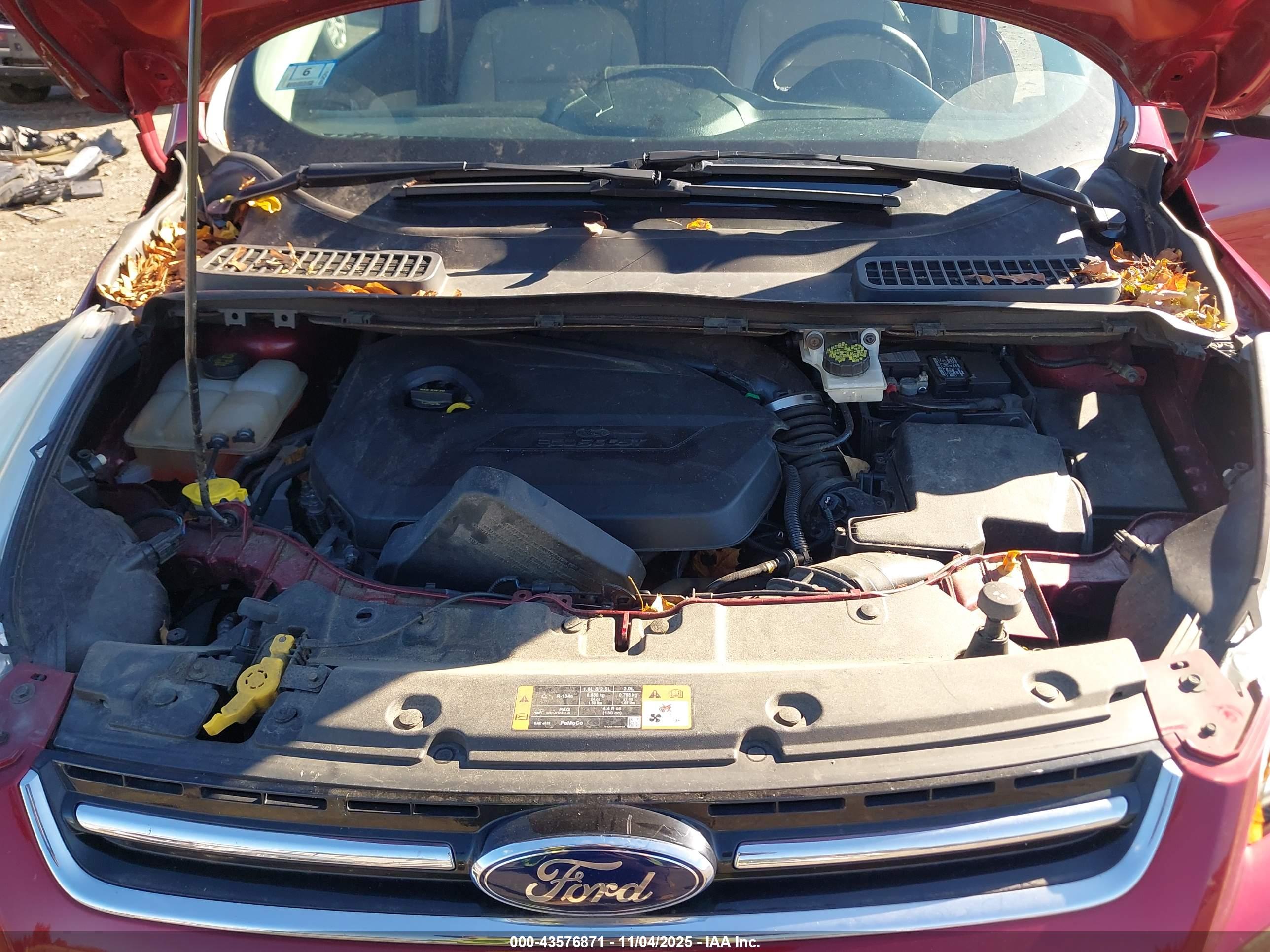 FORD ESCAPE image 10