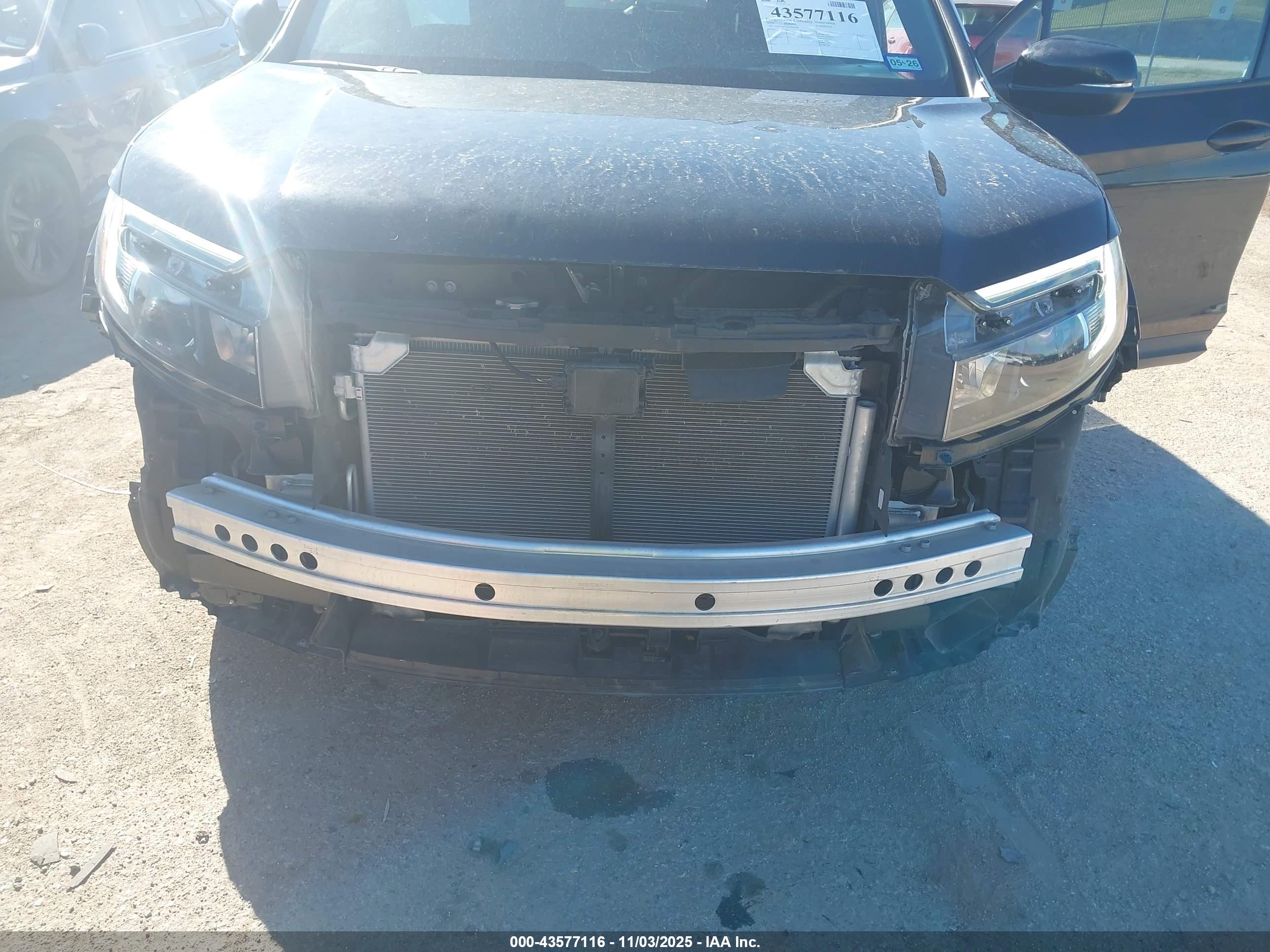 HONDA PASSPORT image 6