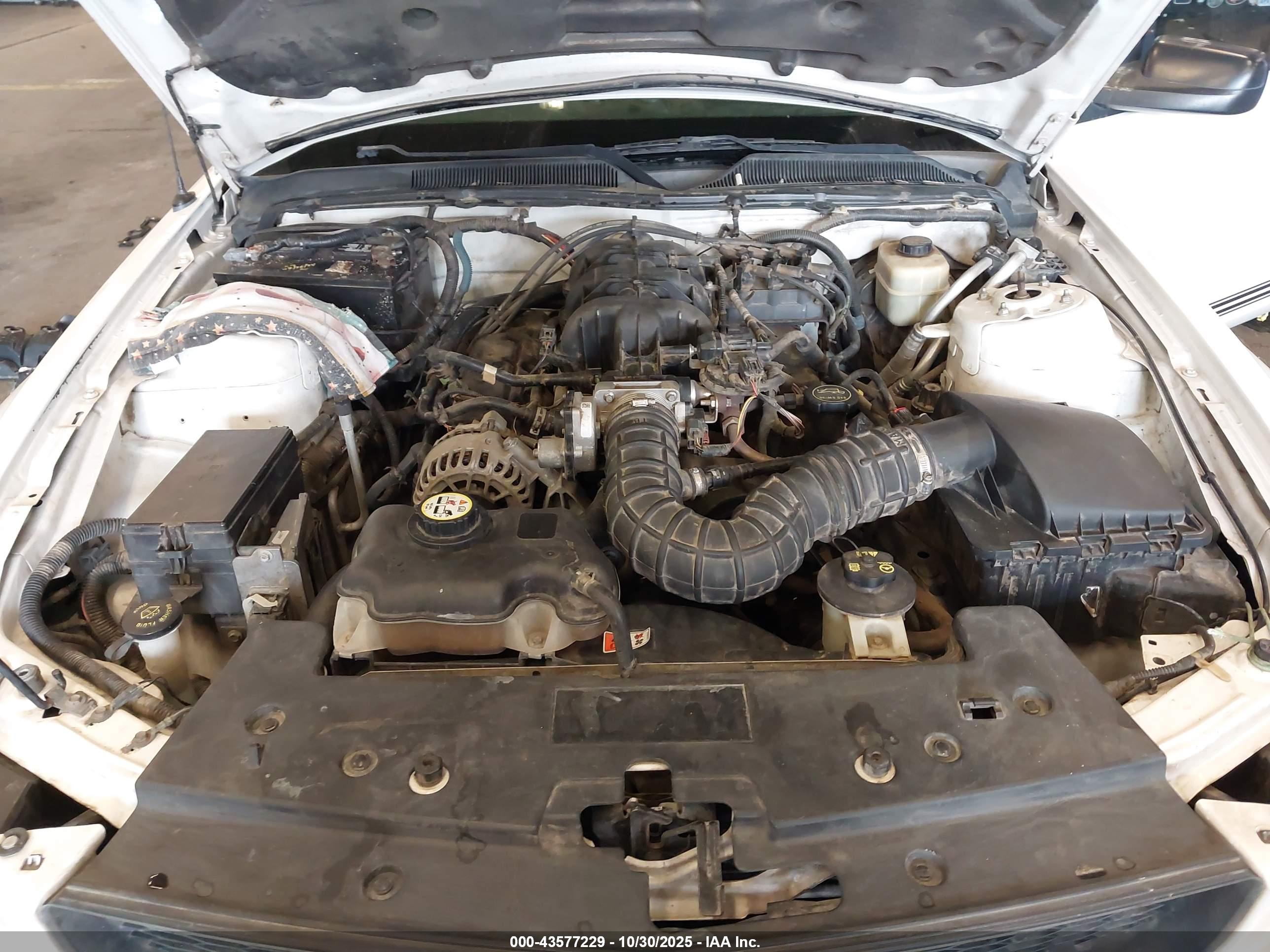 FORD MUSTANG image 10