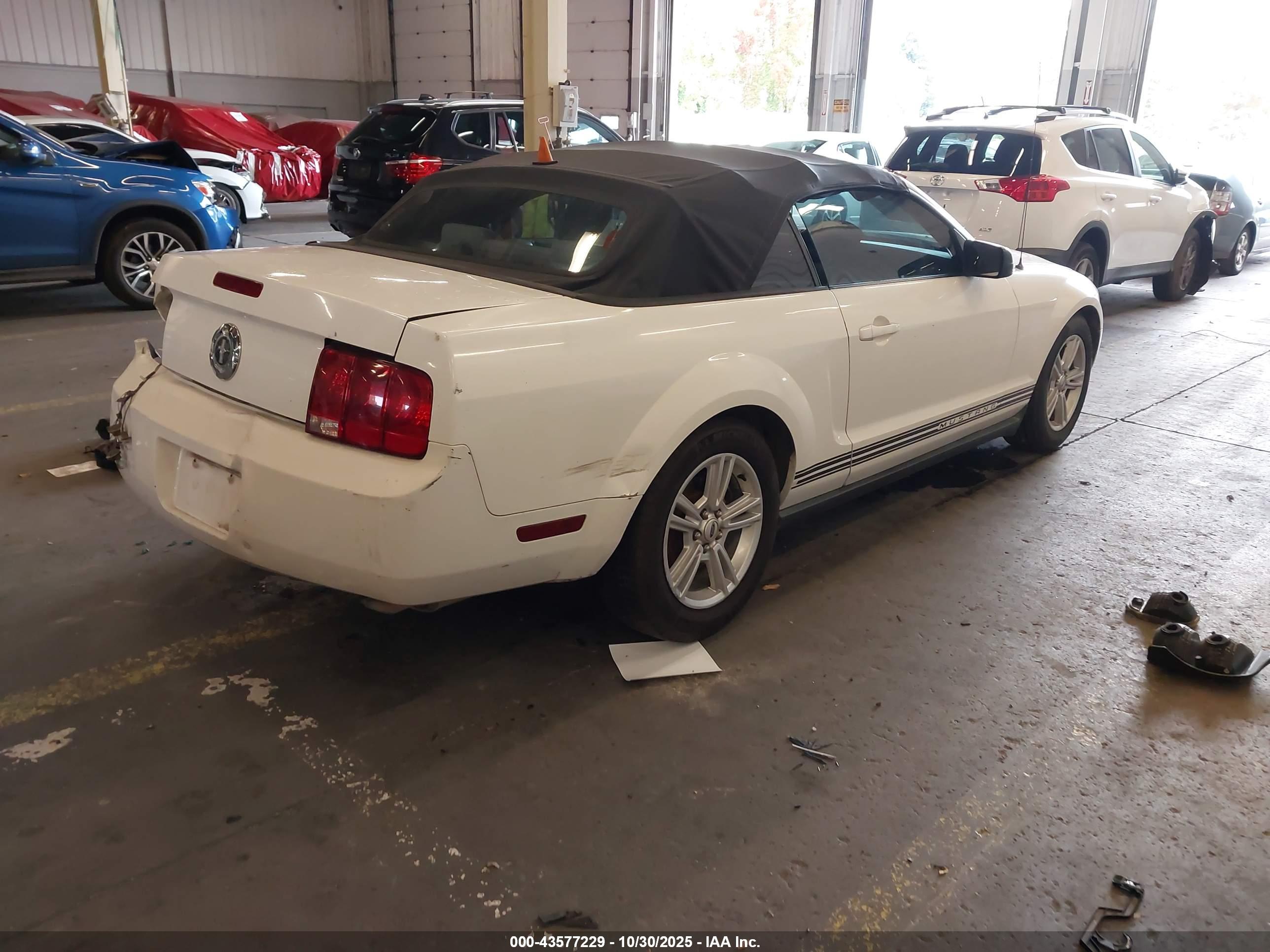 FORD MUSTANG image 4