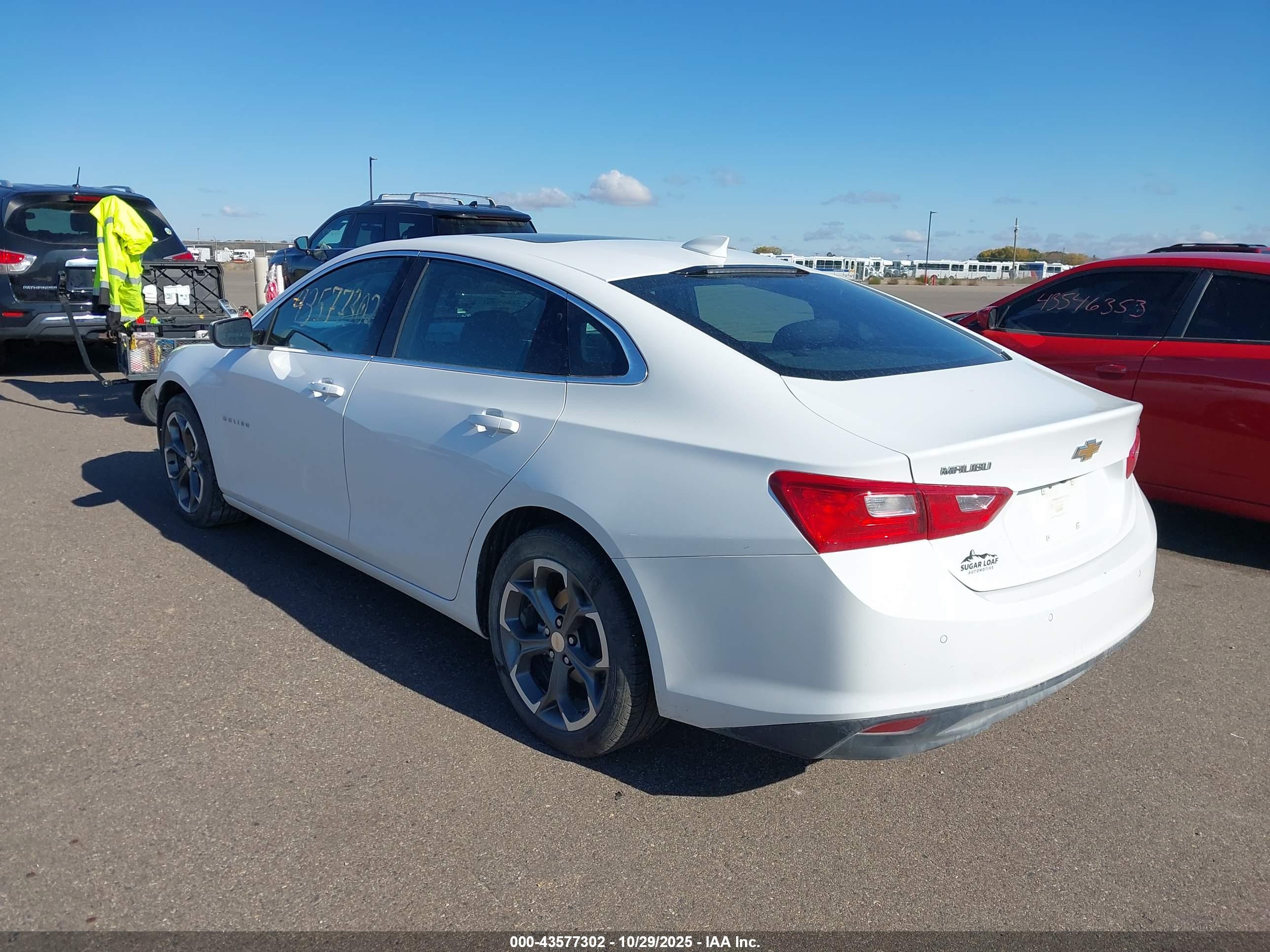 CHEVROLET MALIBU image 3