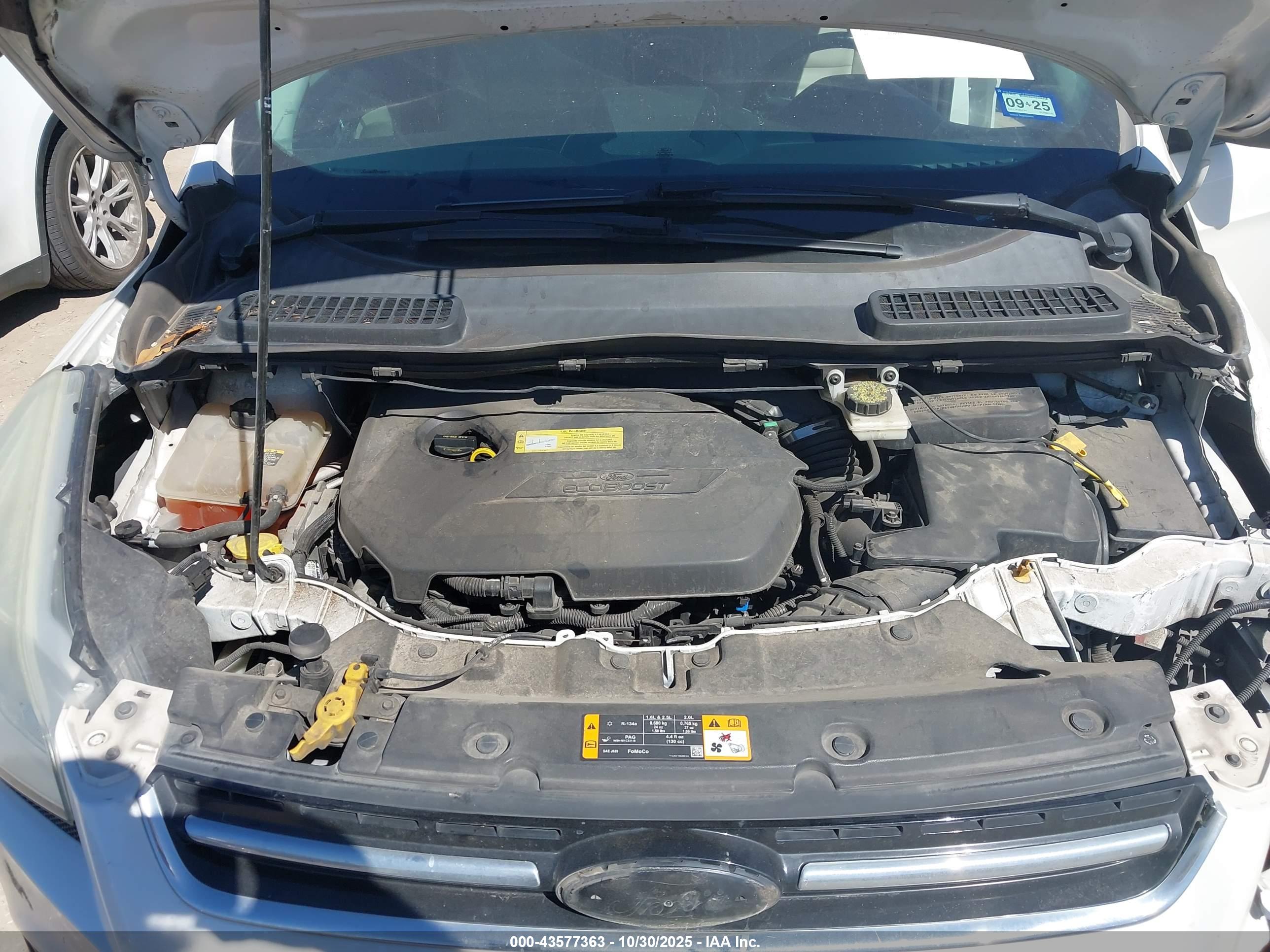 FORD ESCAPE image 10