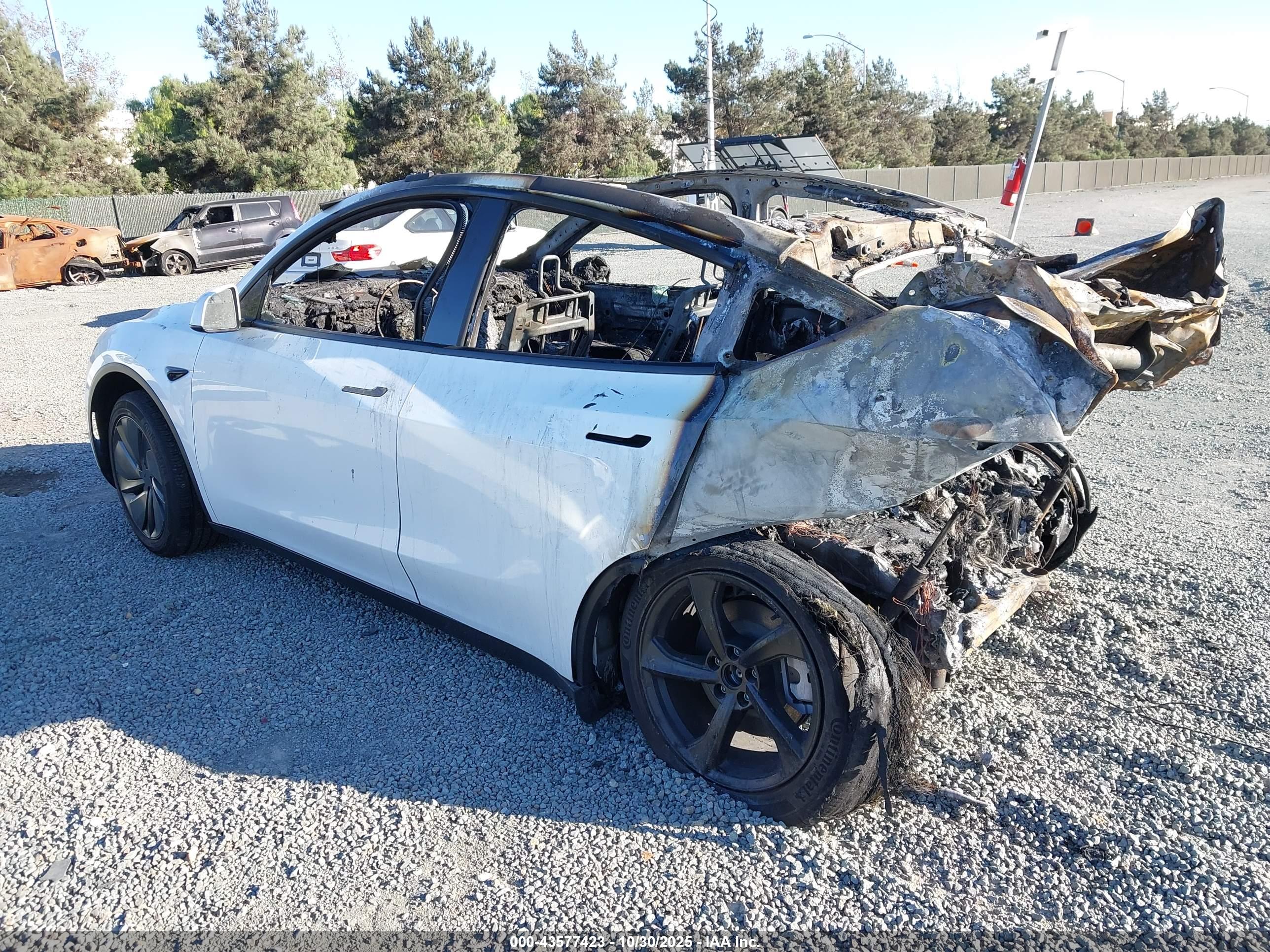 TESLA MODEL image 3