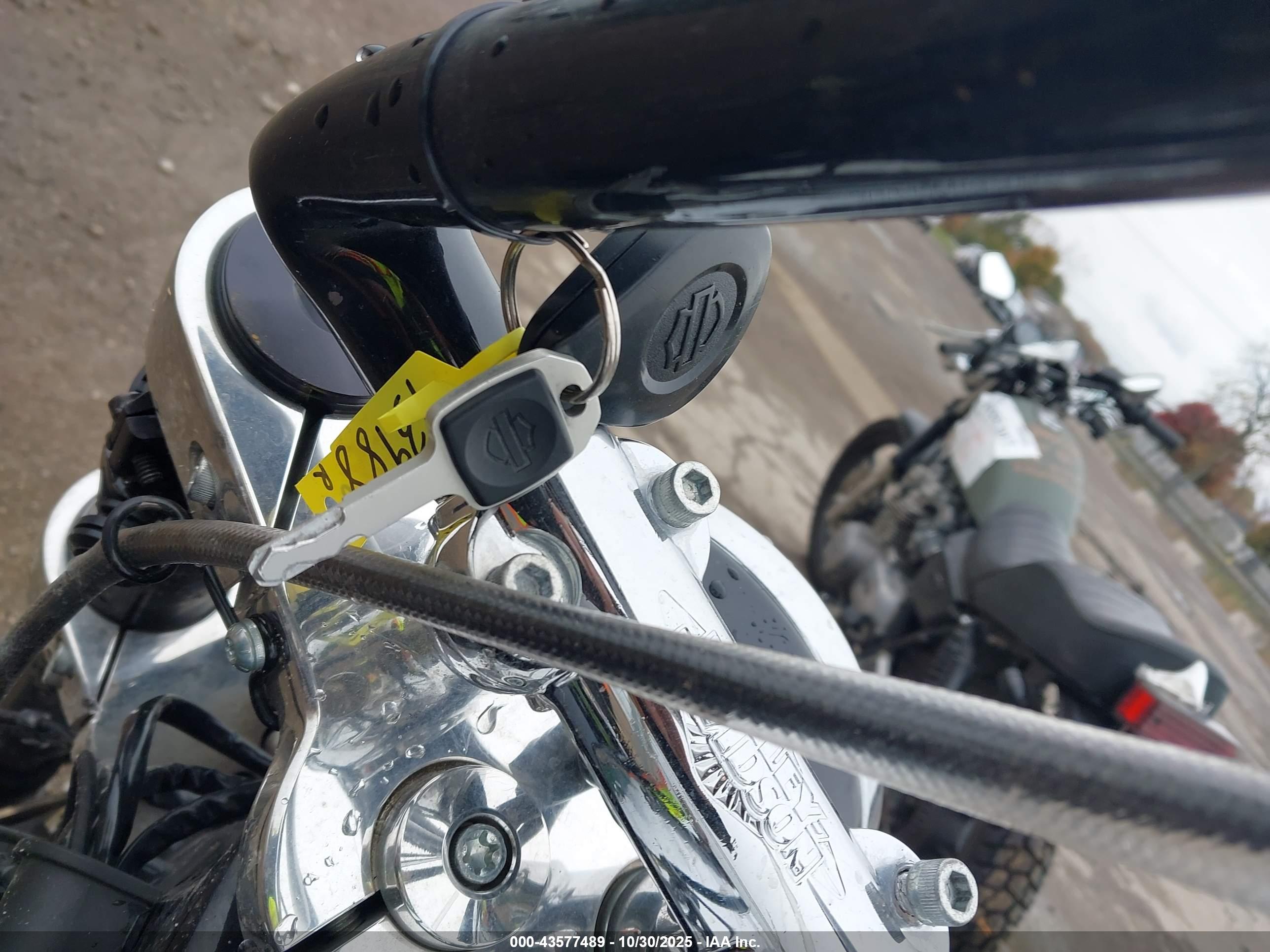 HARLEY-DAVIDSON FLSB image 11