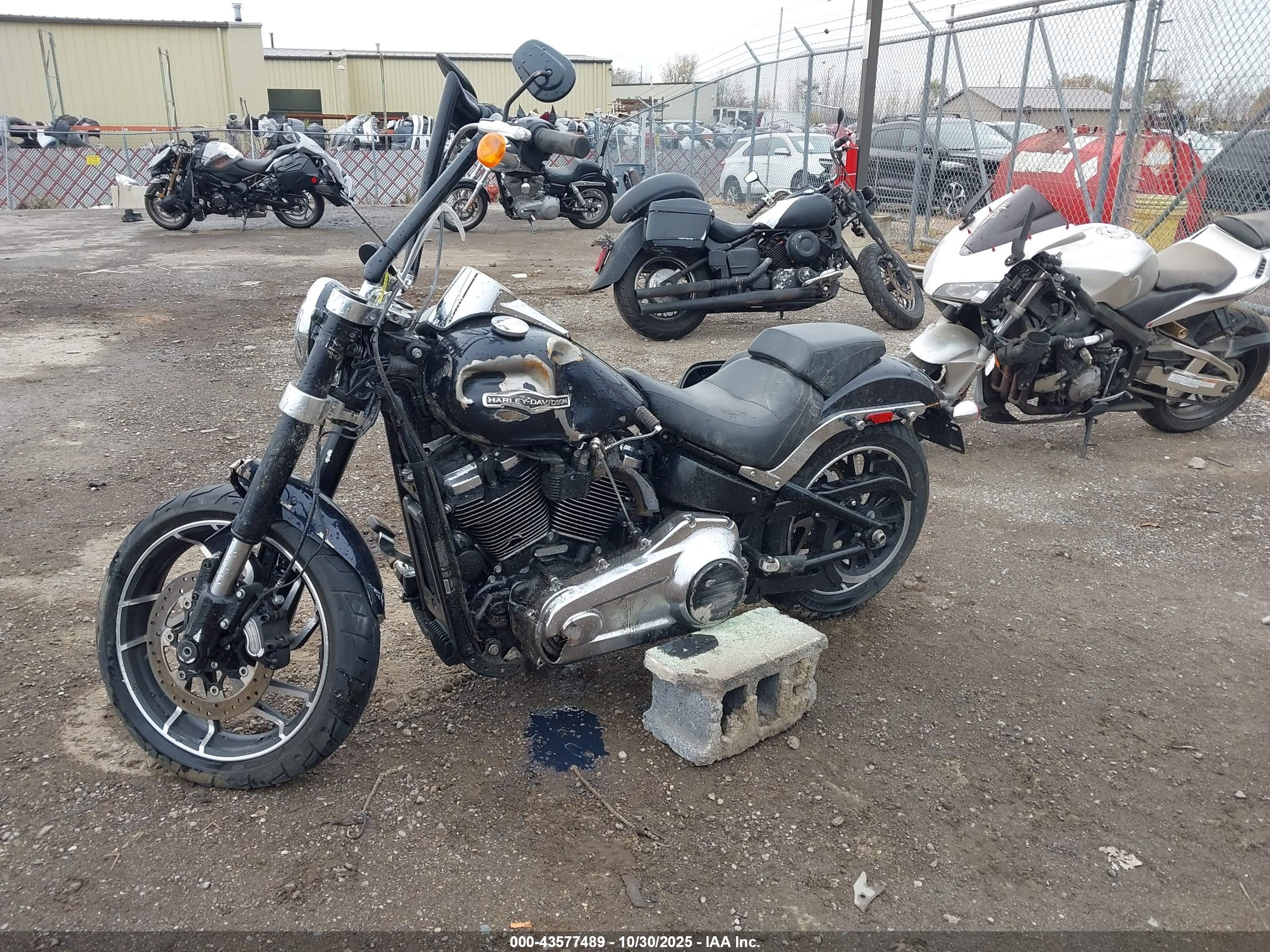 HARLEY-DAVIDSON FLSB image 2