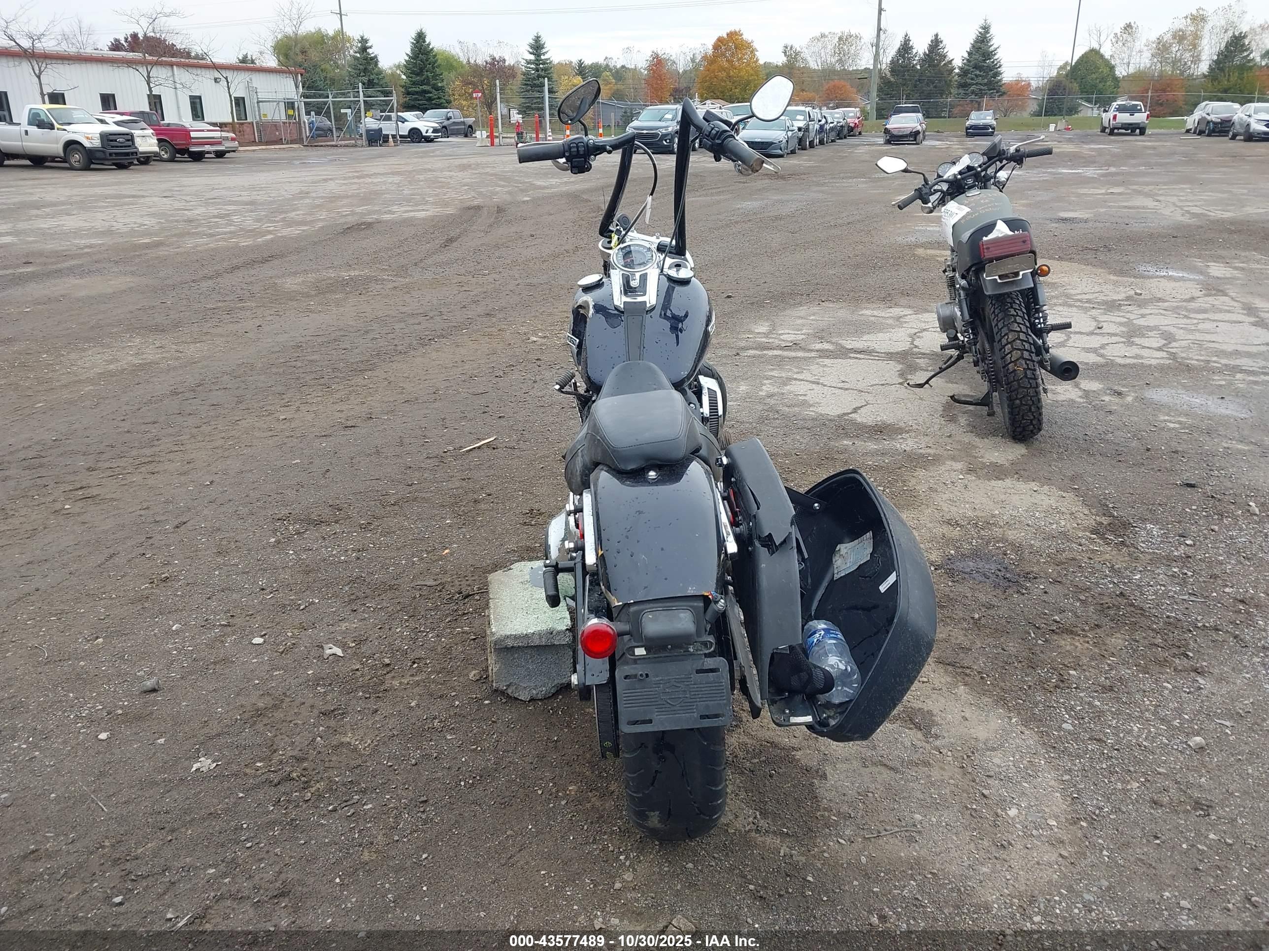 HARLEY-DAVIDSON FLSB image 6