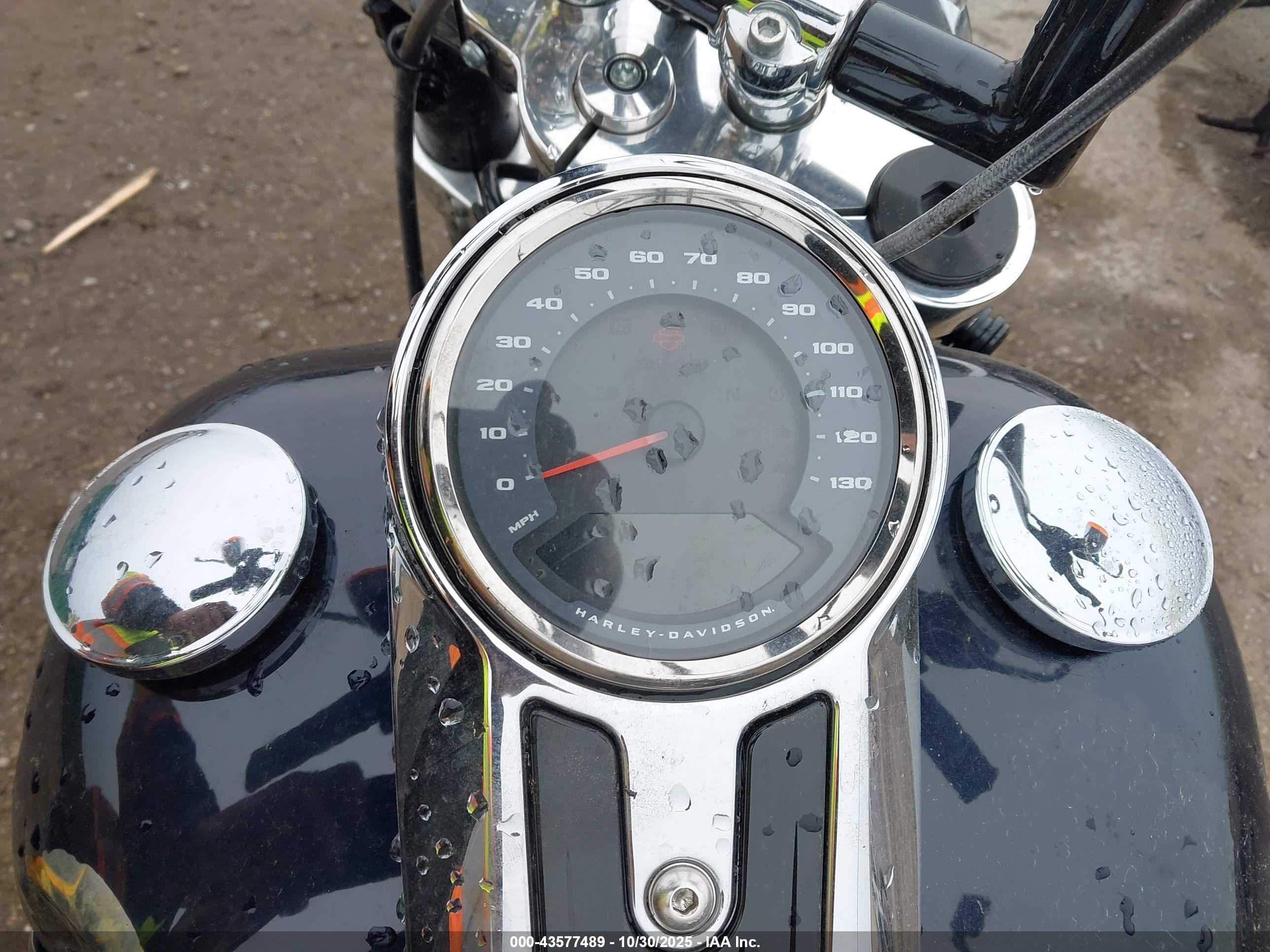 HARLEY-DAVIDSON FLSB image 7