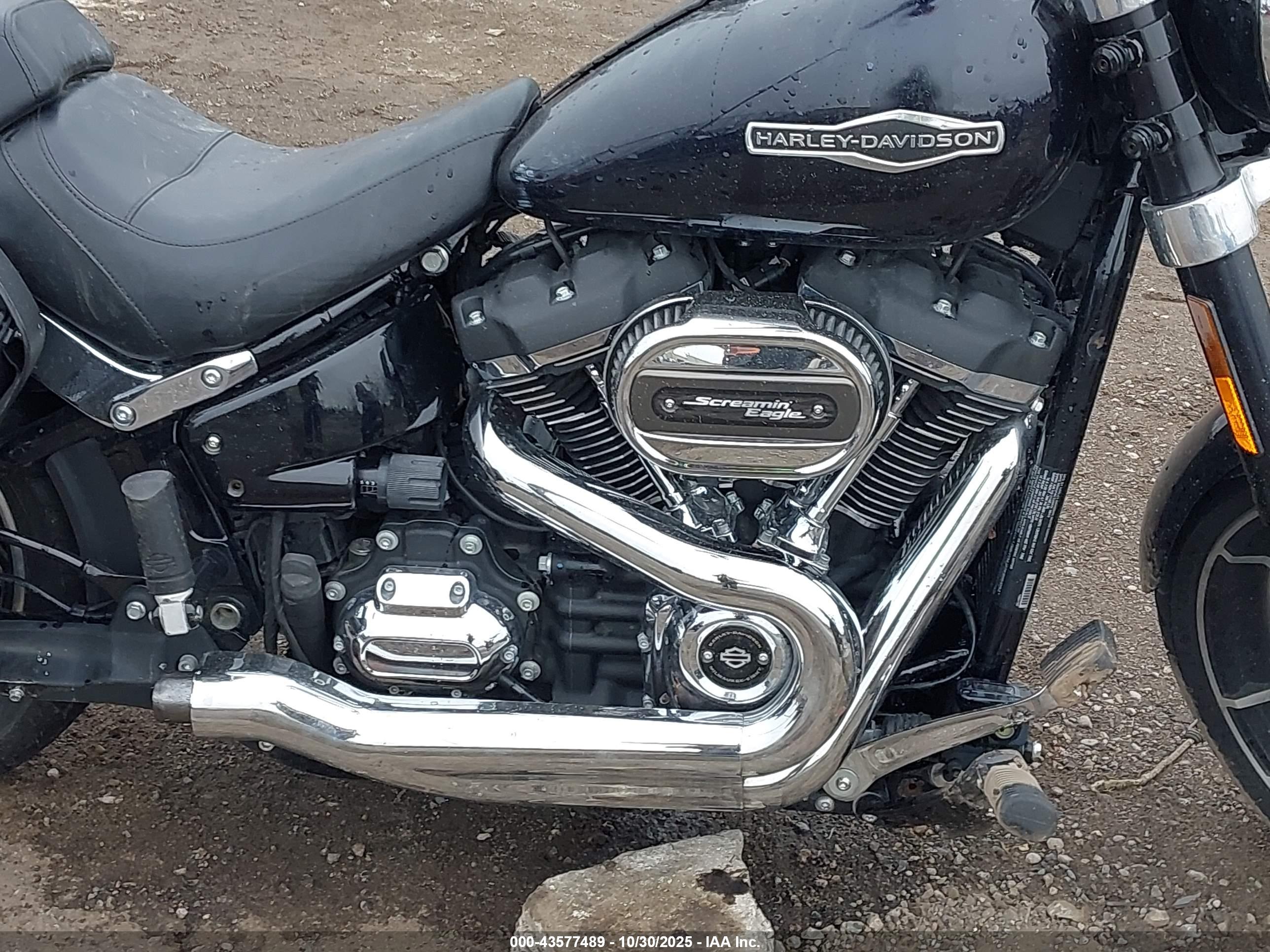 HARLEY-DAVIDSON FLSB image 8