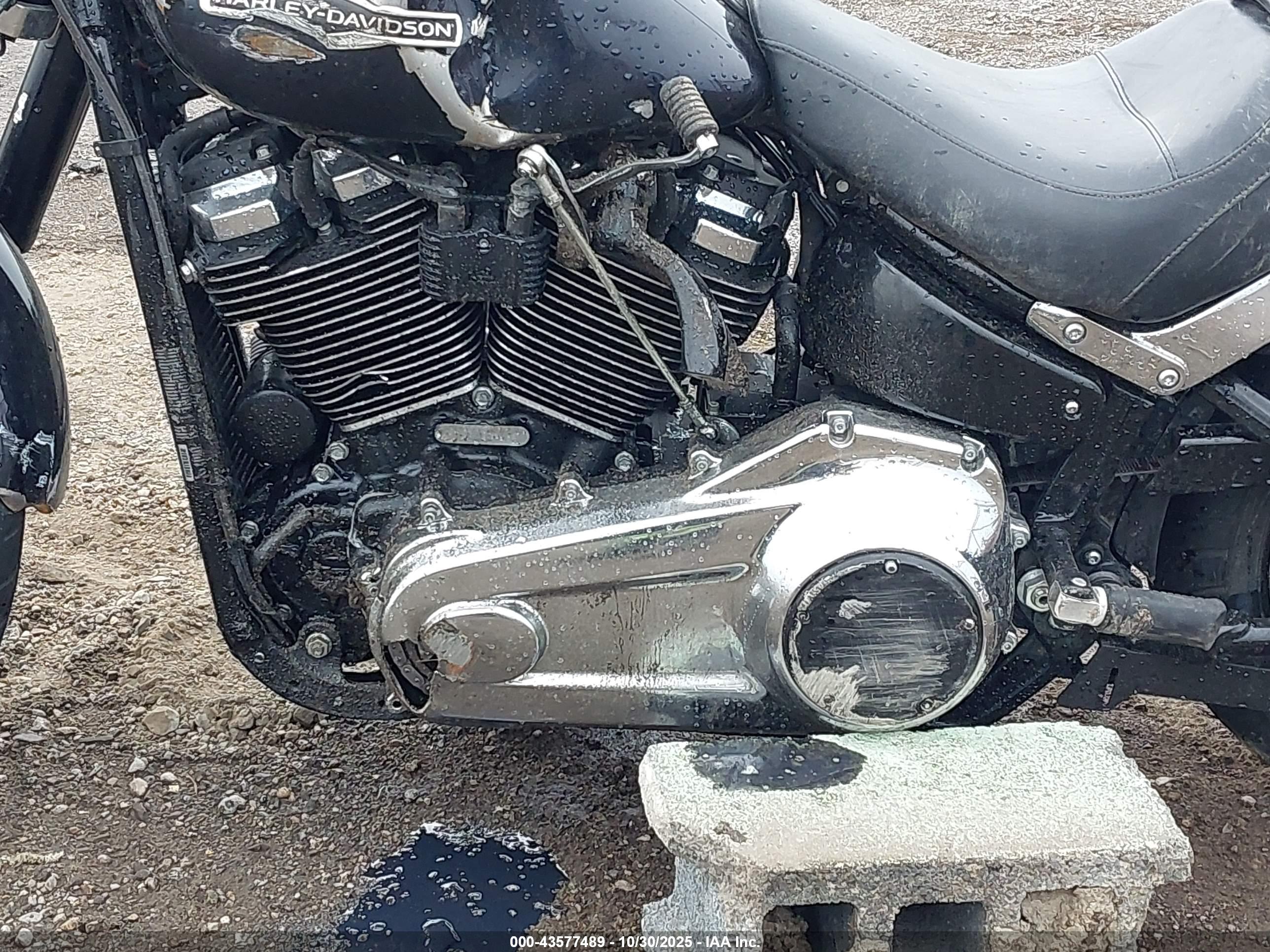 HARLEY-DAVIDSON FLSB image 9