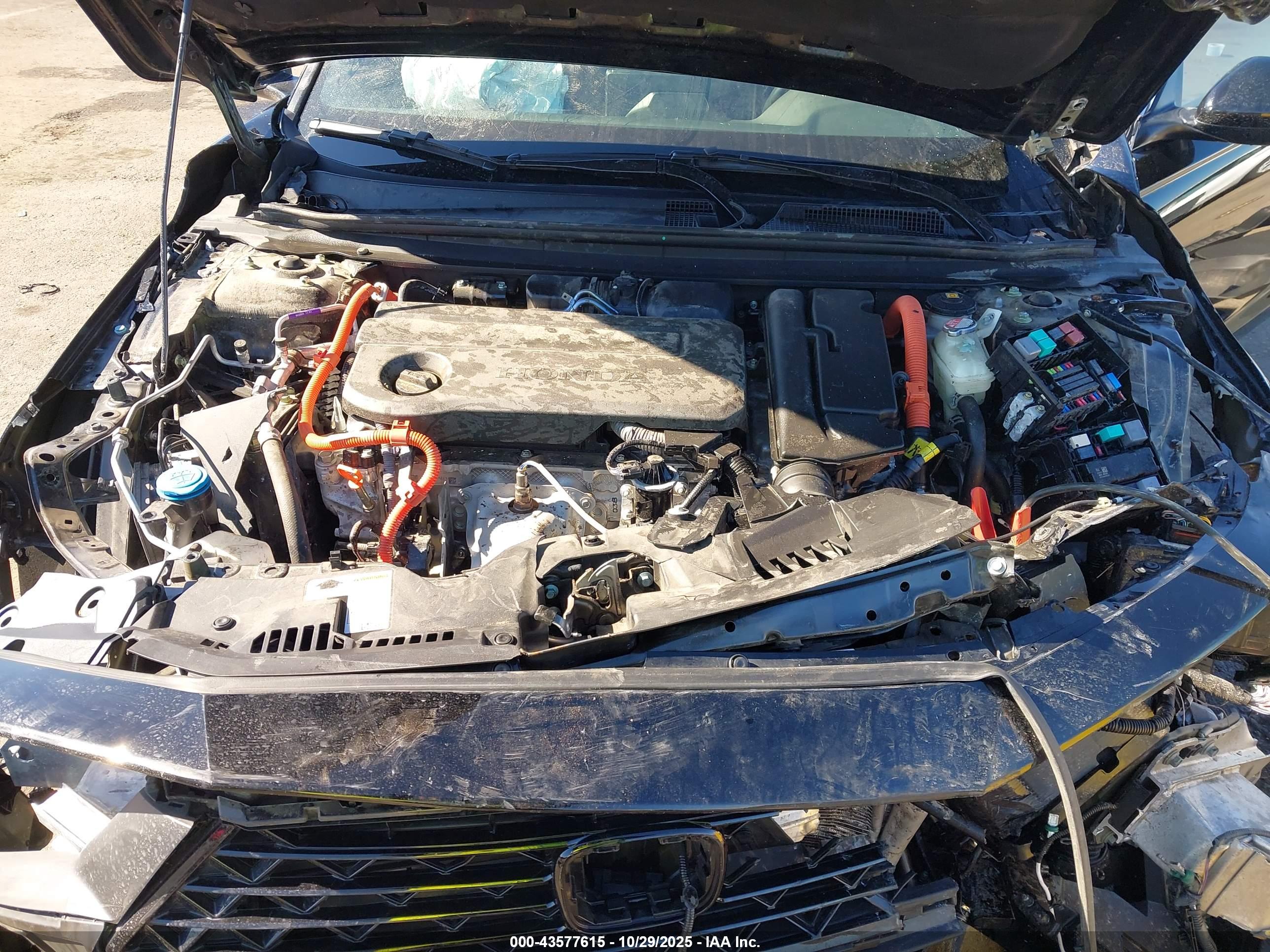 HONDA ACCORD image 10