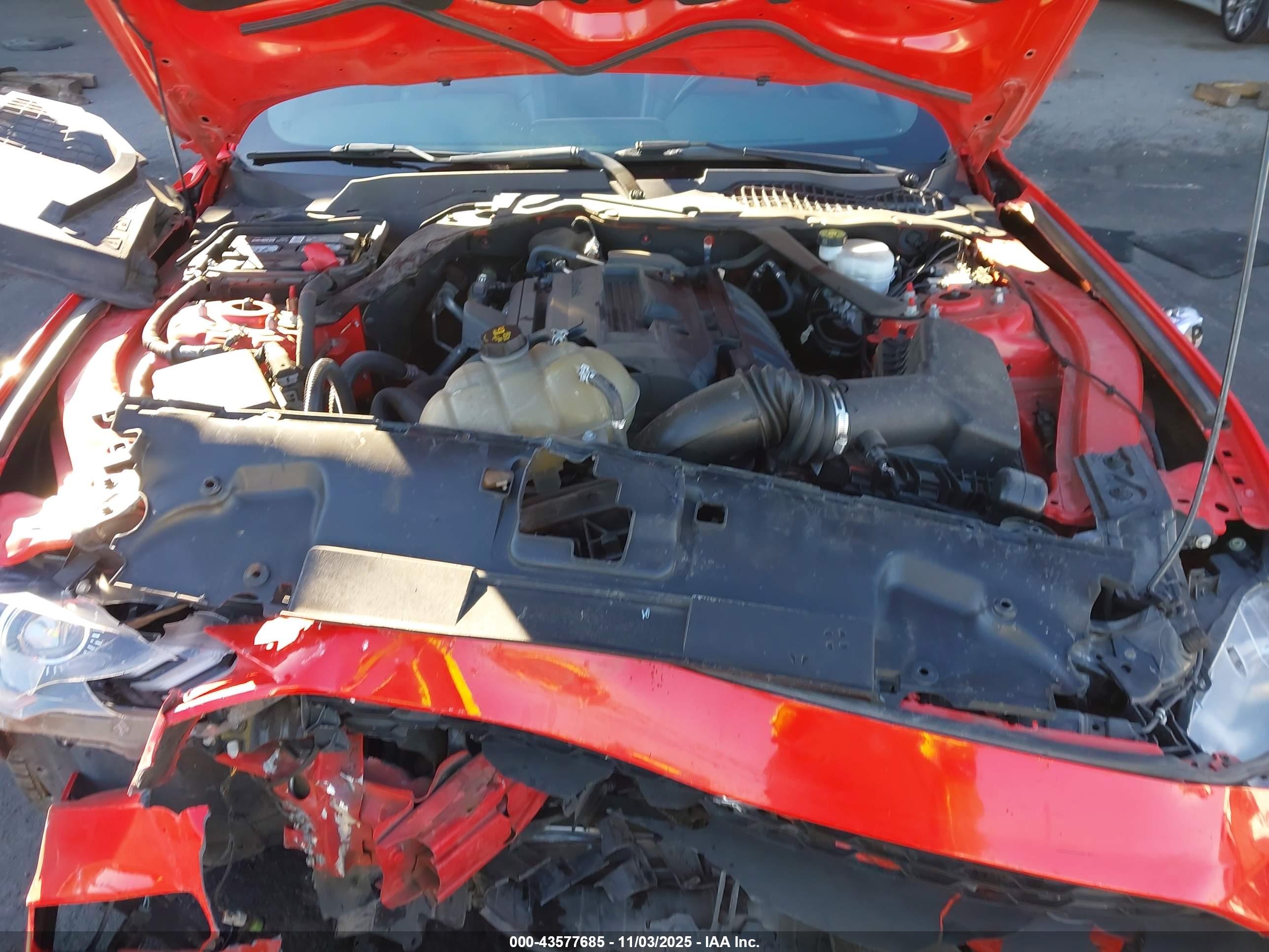 FORD MUSTANG image 10