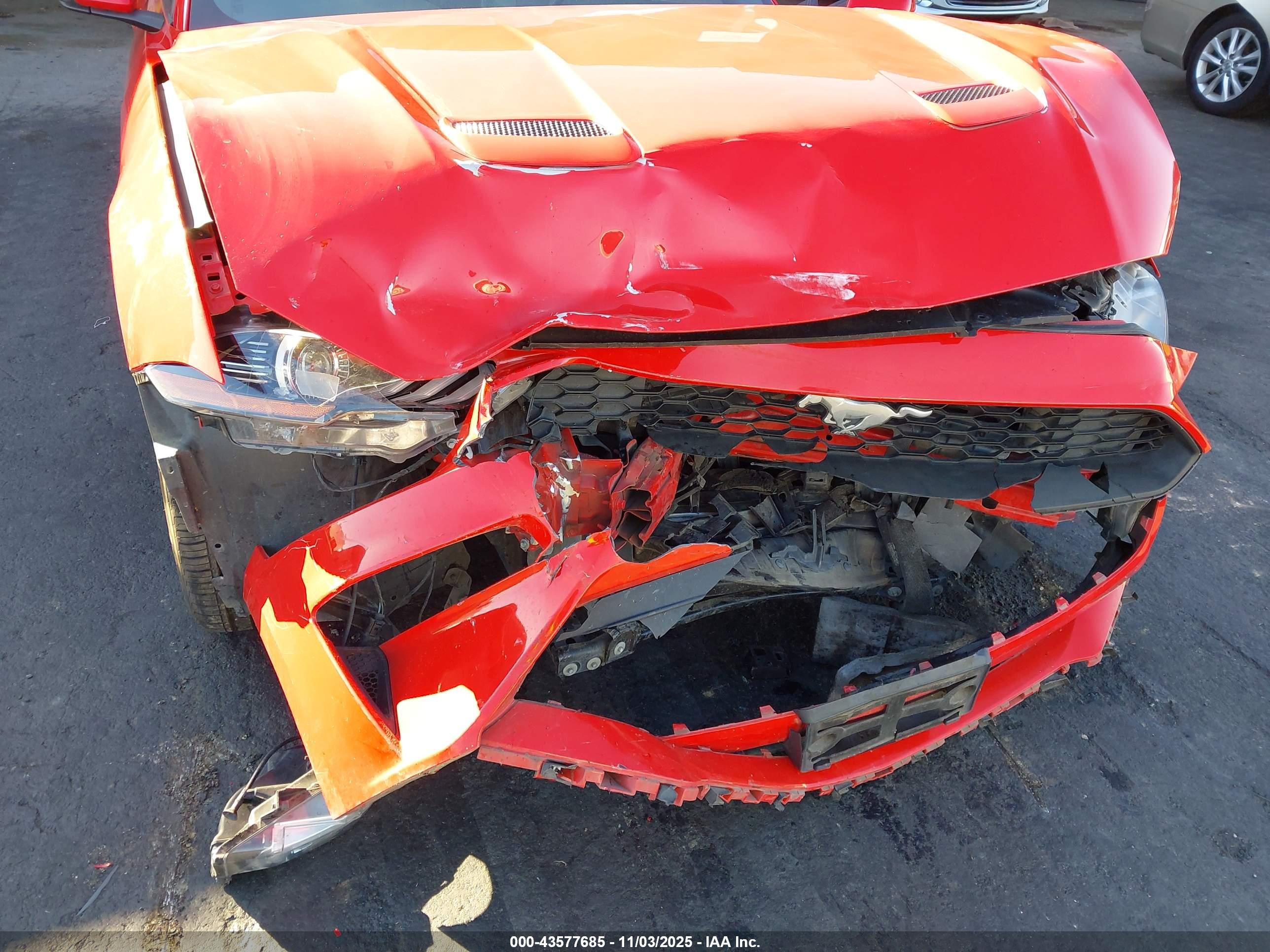 FORD MUSTANG image 6