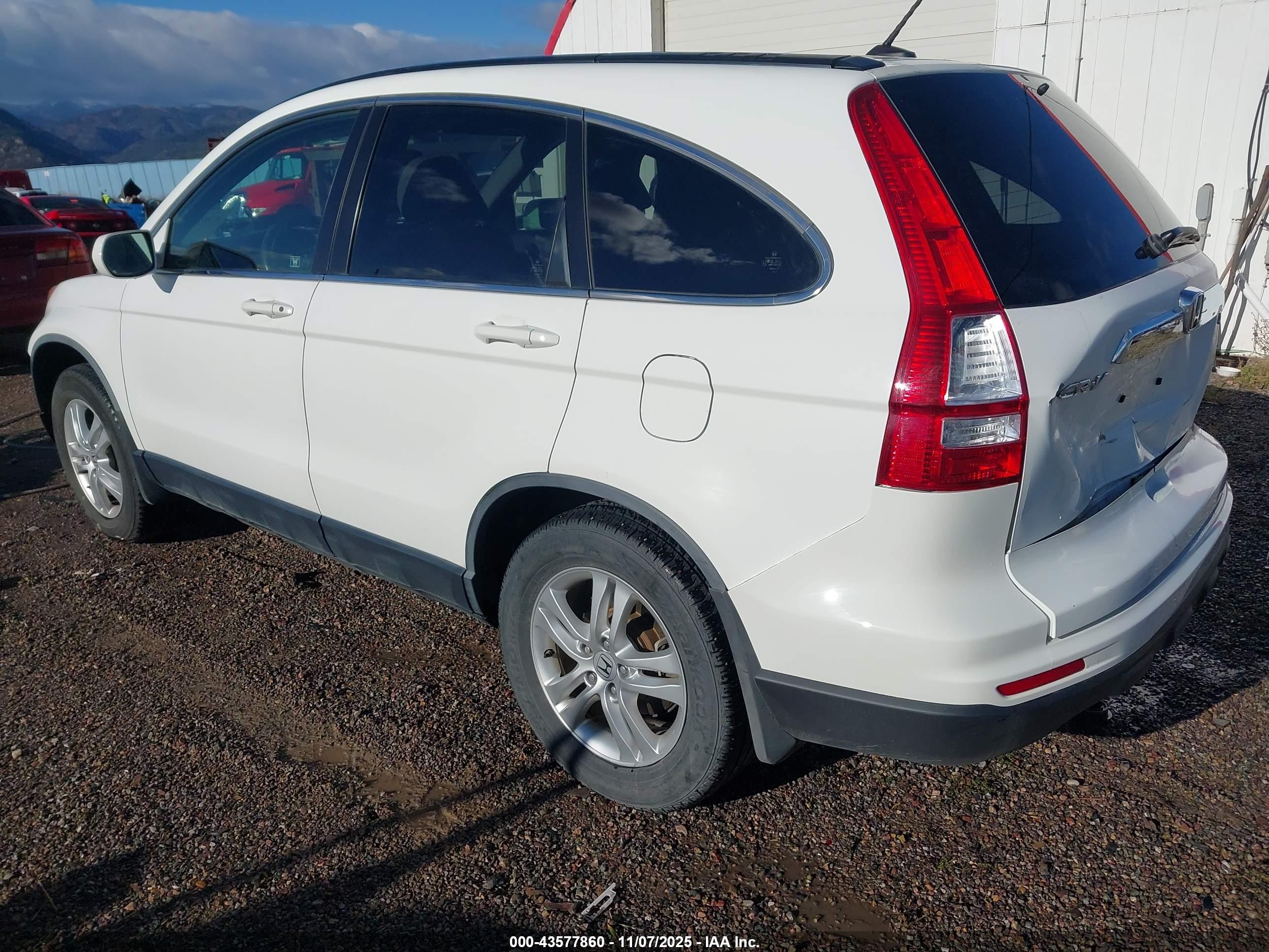 HONDA CR-V image 3