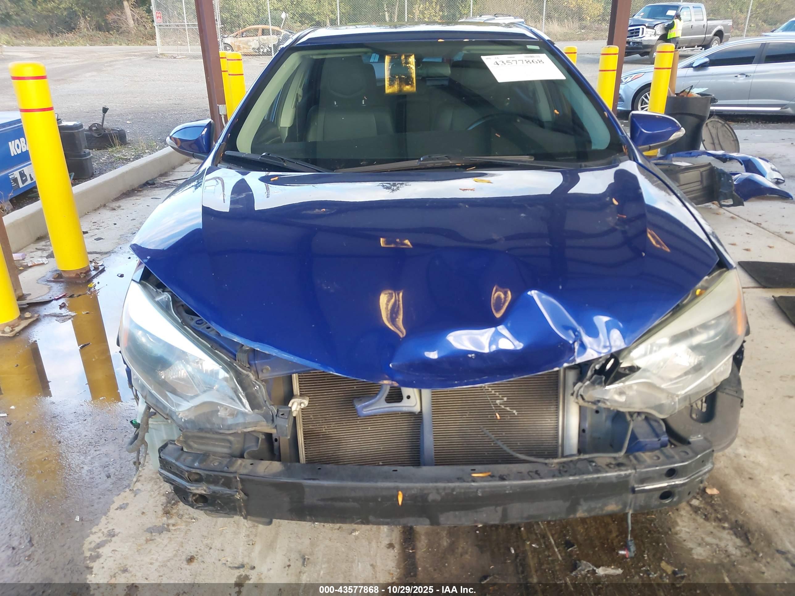 TOYOTA COROLLA image 6