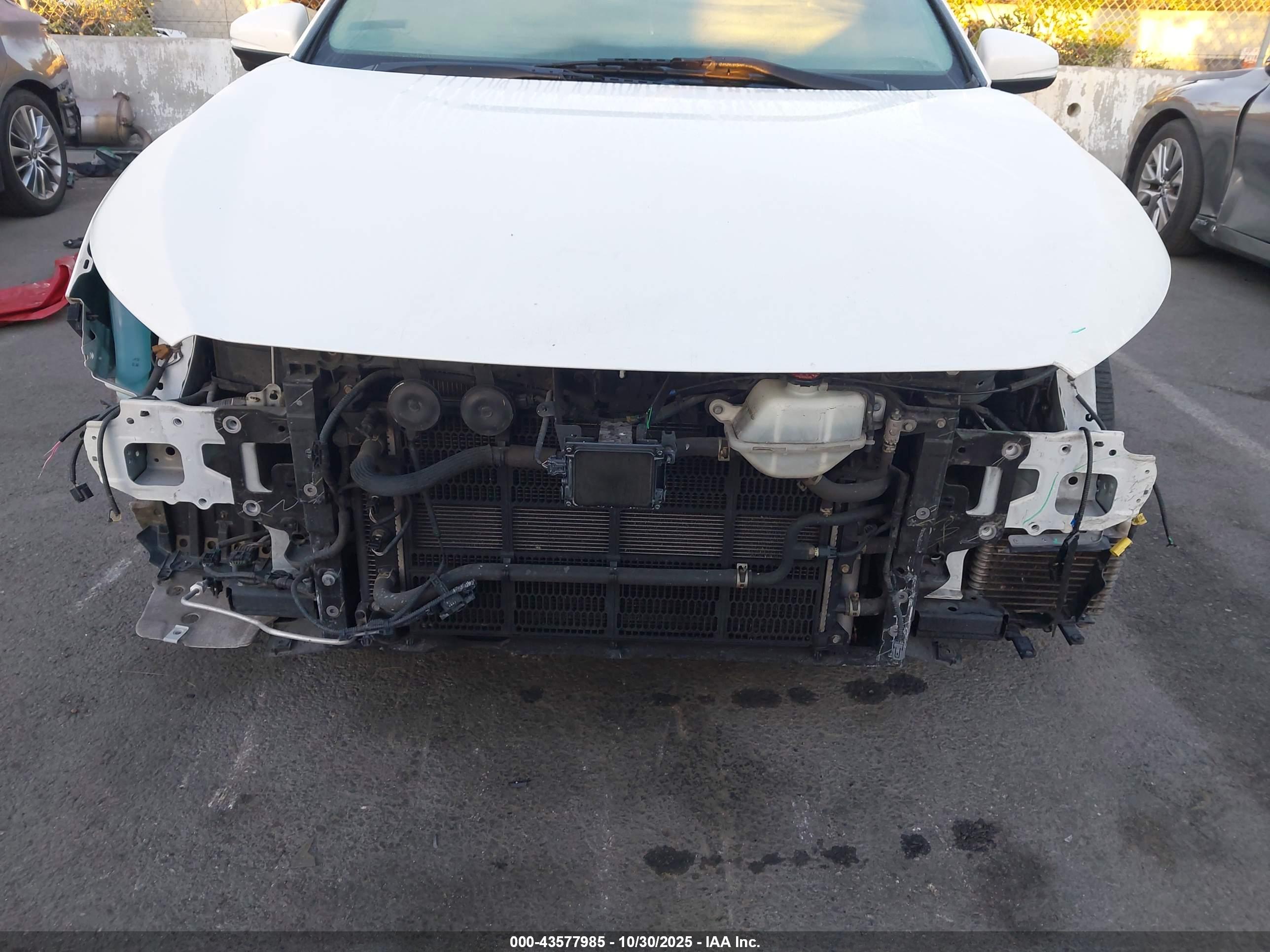 HONDA CLARITY image 6