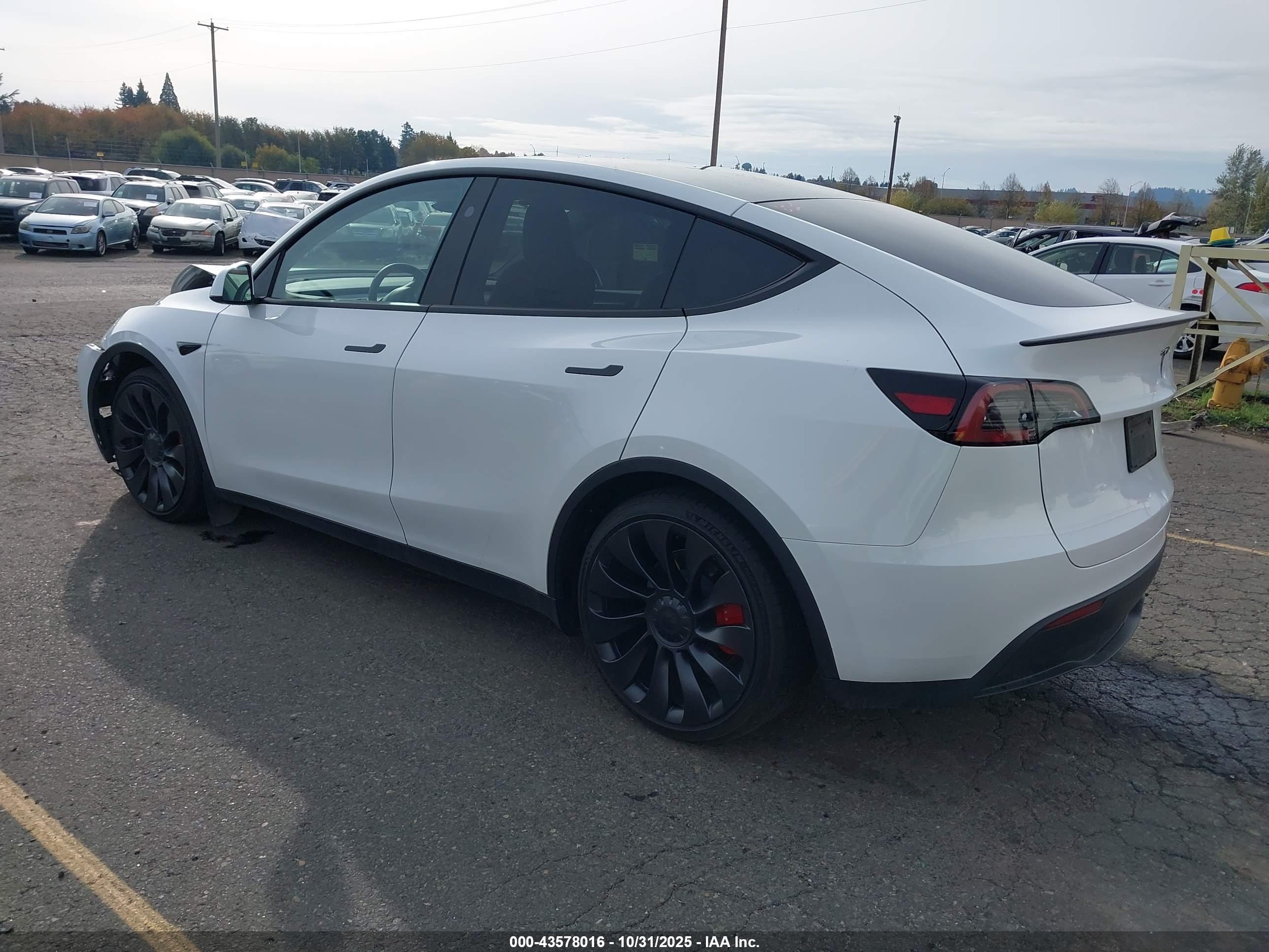 TESLA MODEL image 3