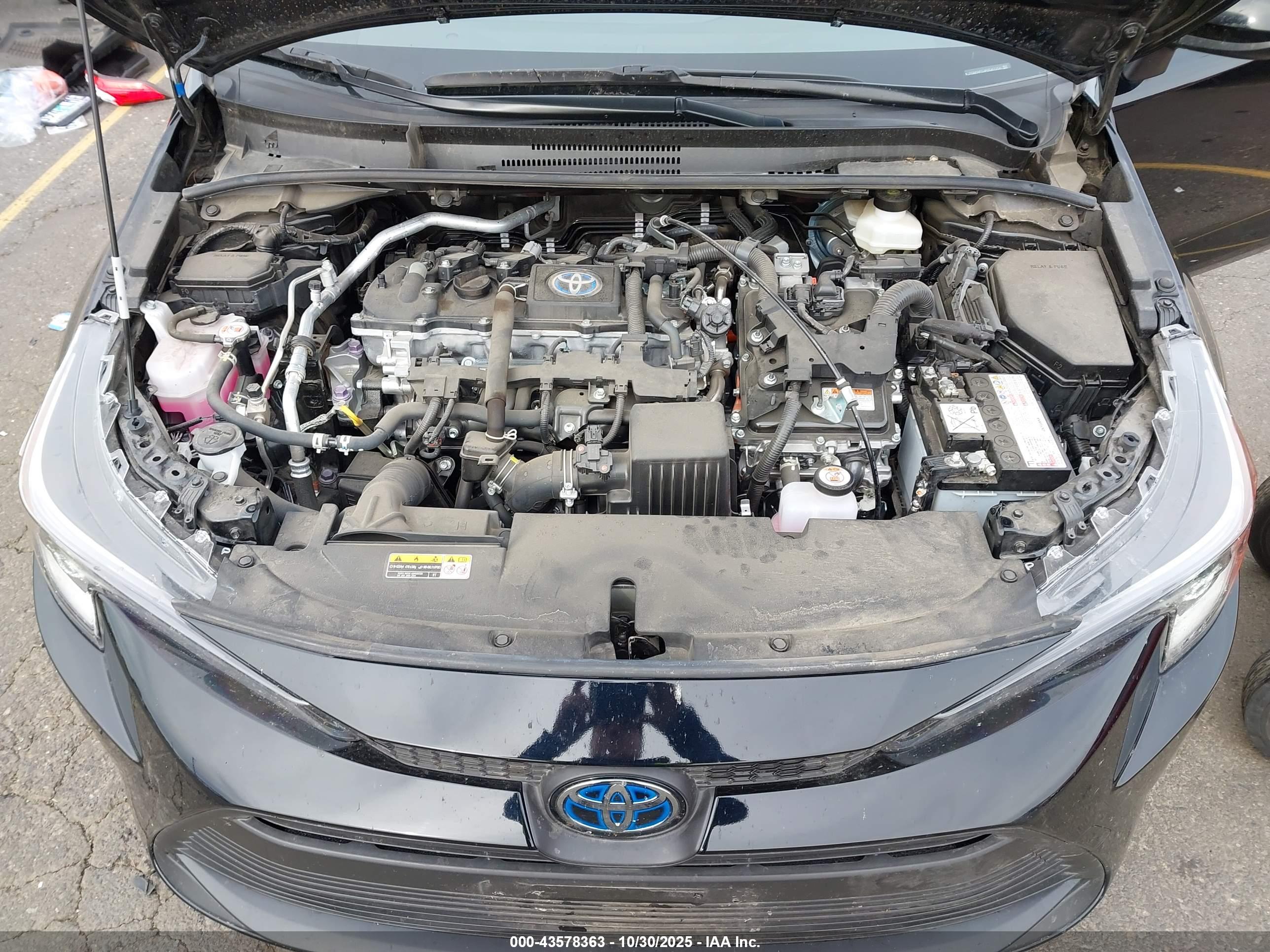 TOYOTA COROLLA image 10