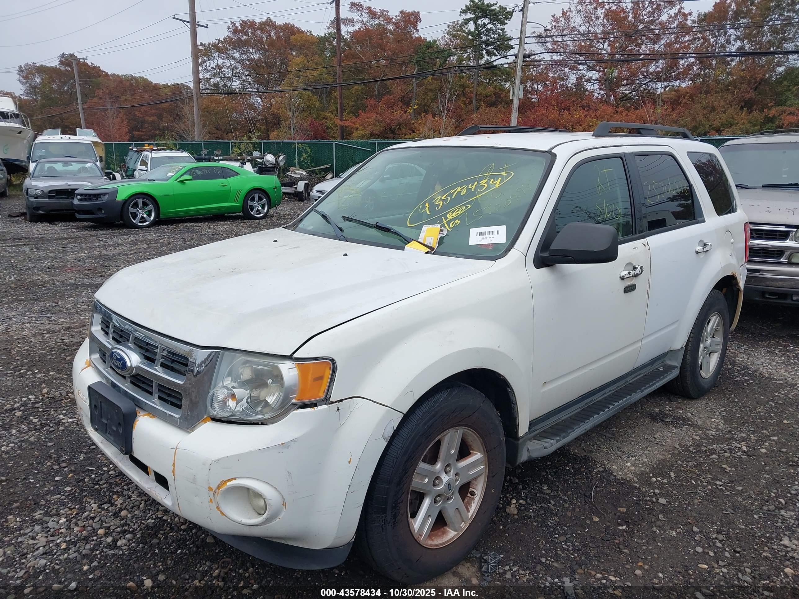FORD ESCAPE image 2