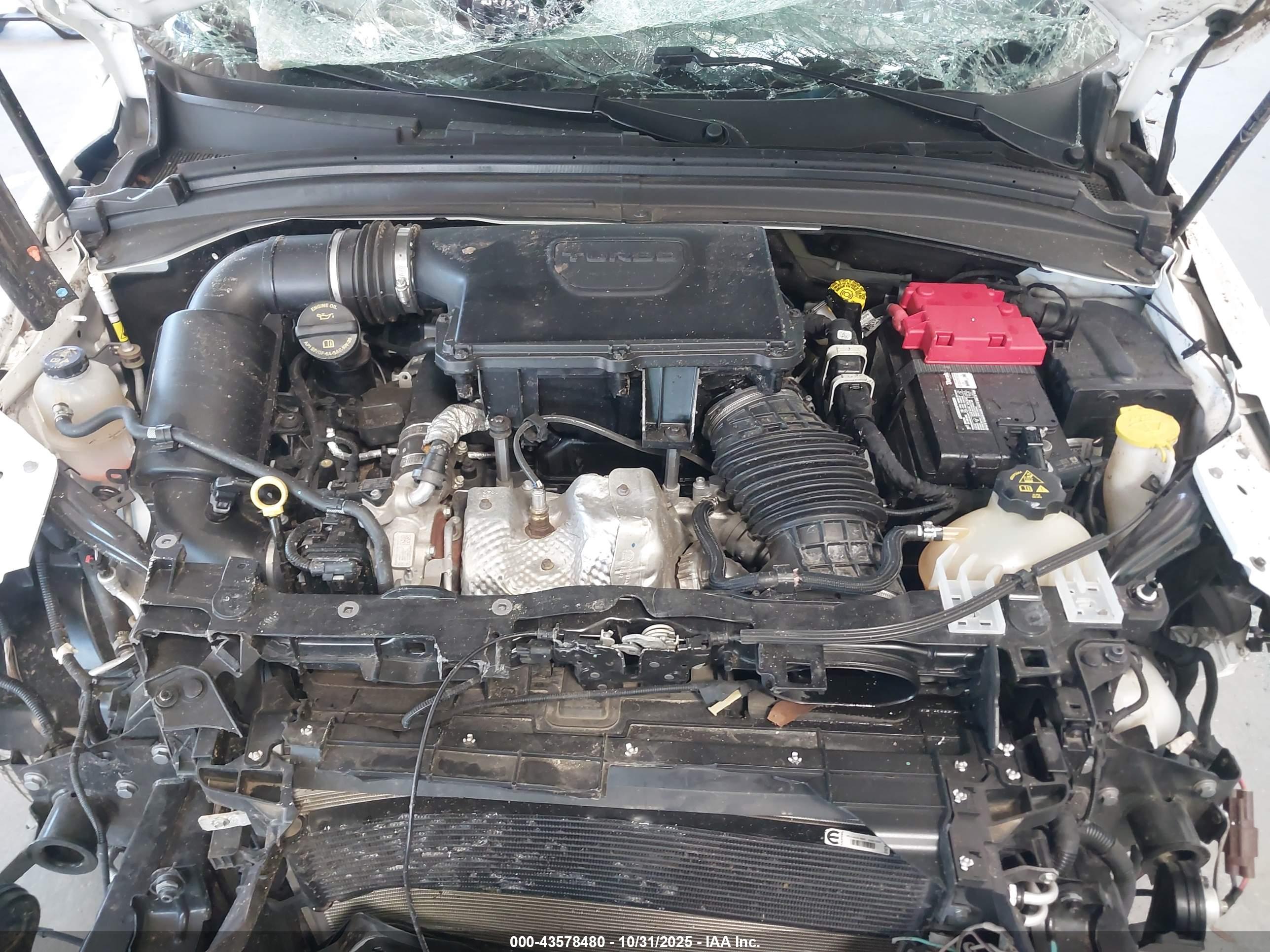 DODGE HORNET image 10