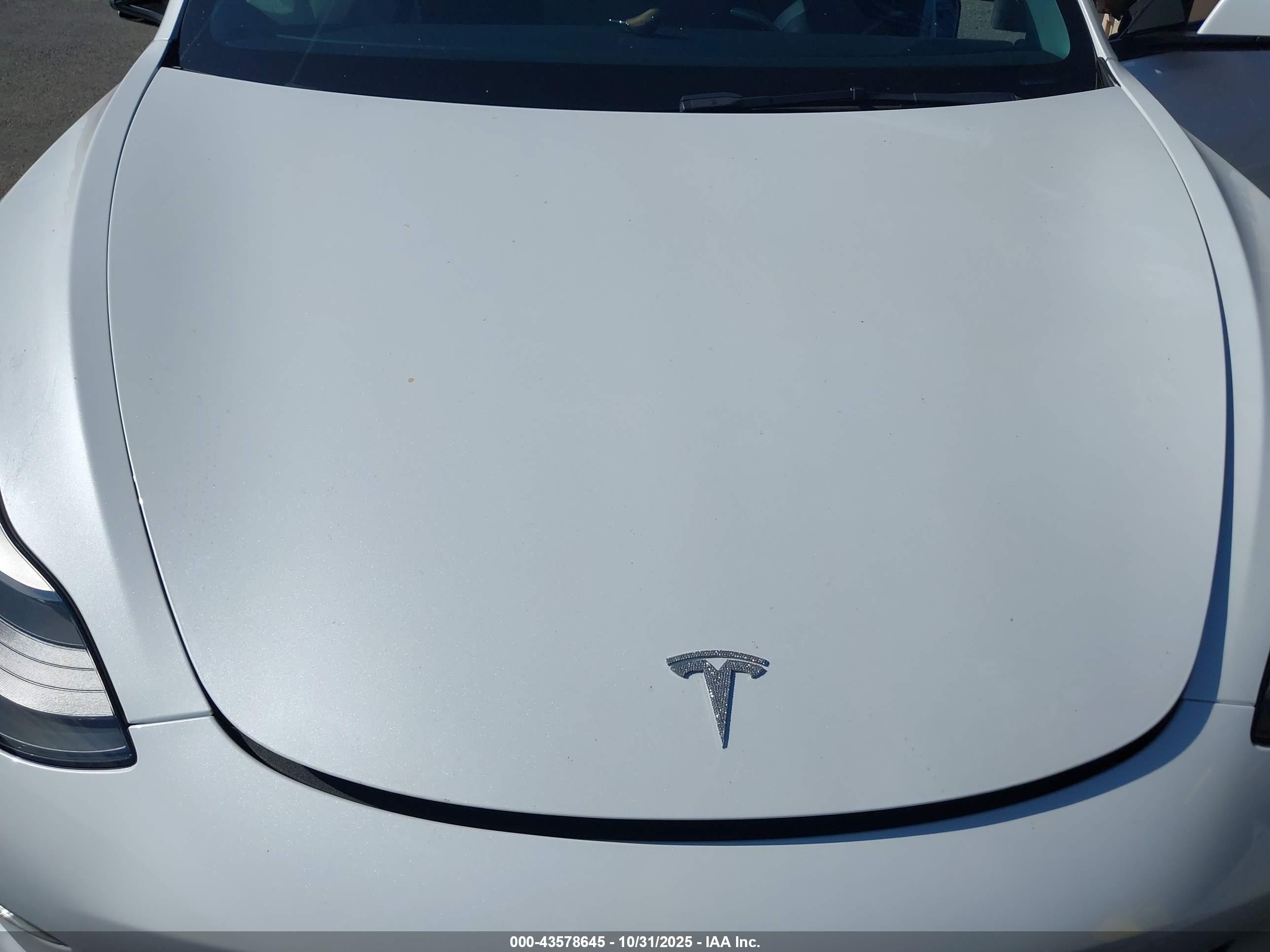 TESLA MODEL image 10