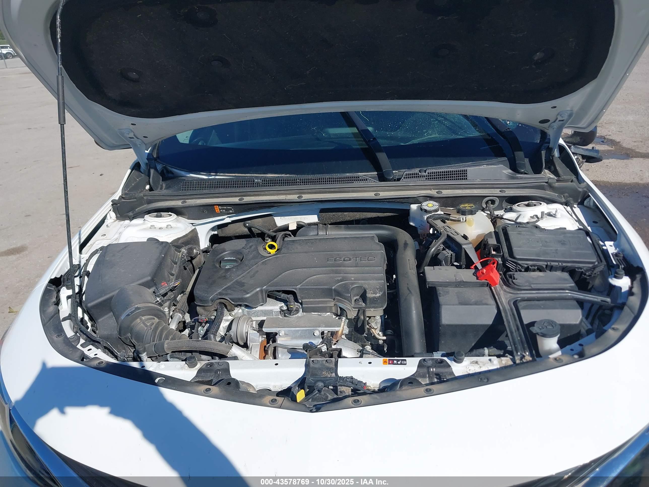 CHEVROLET MALIBU image 10