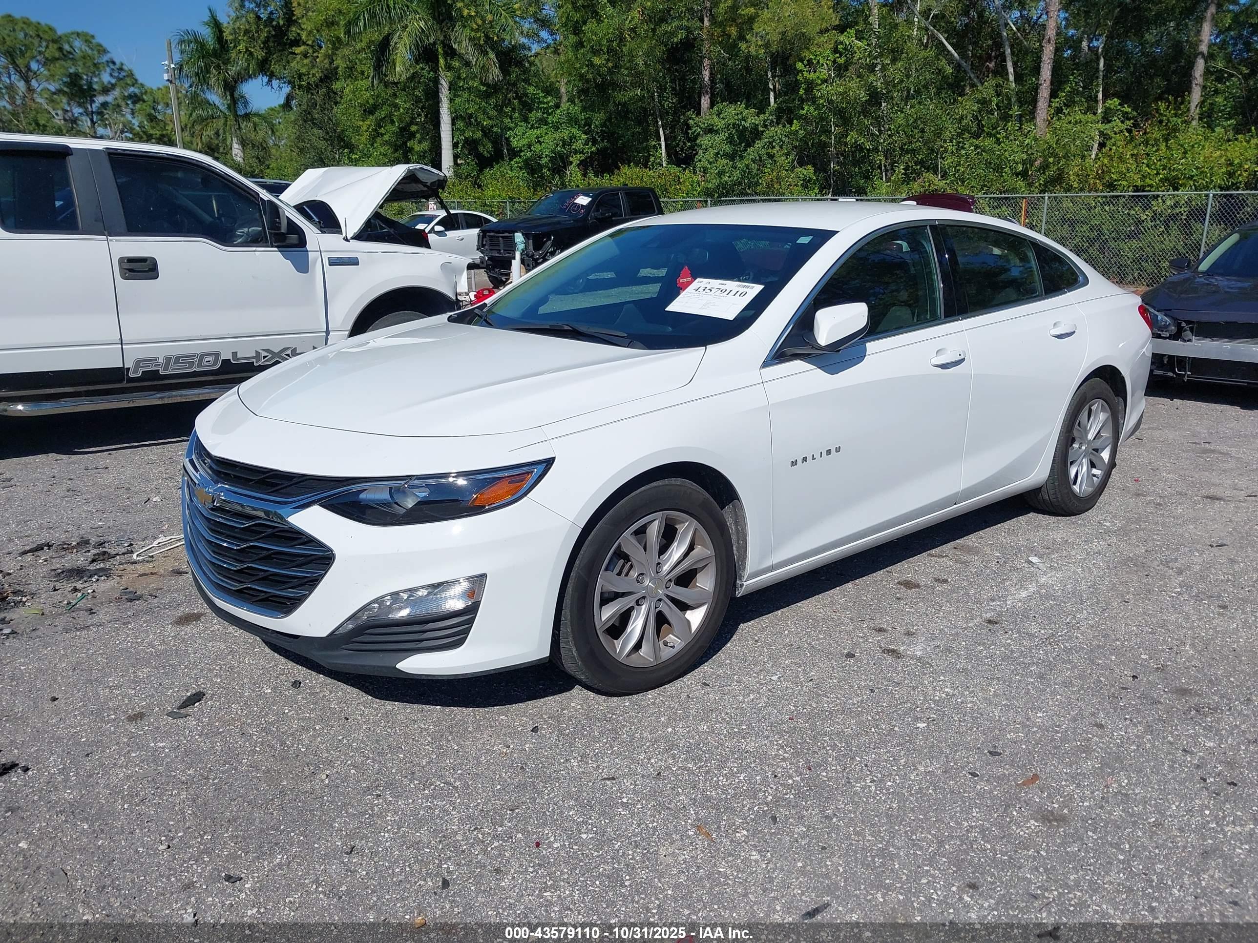 CHEVROLET MALIBU image 2