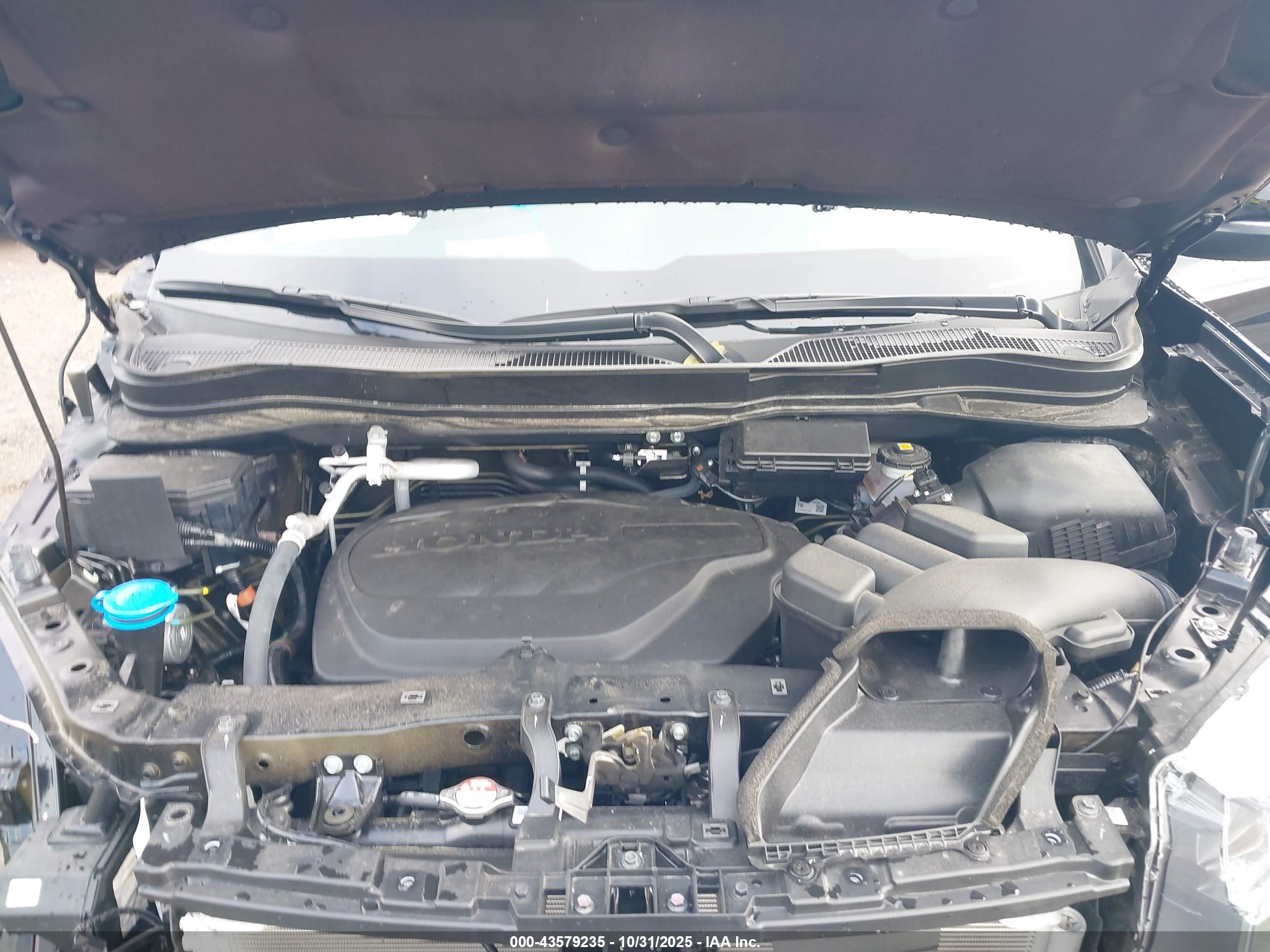 HONDA PASSPORT image 10