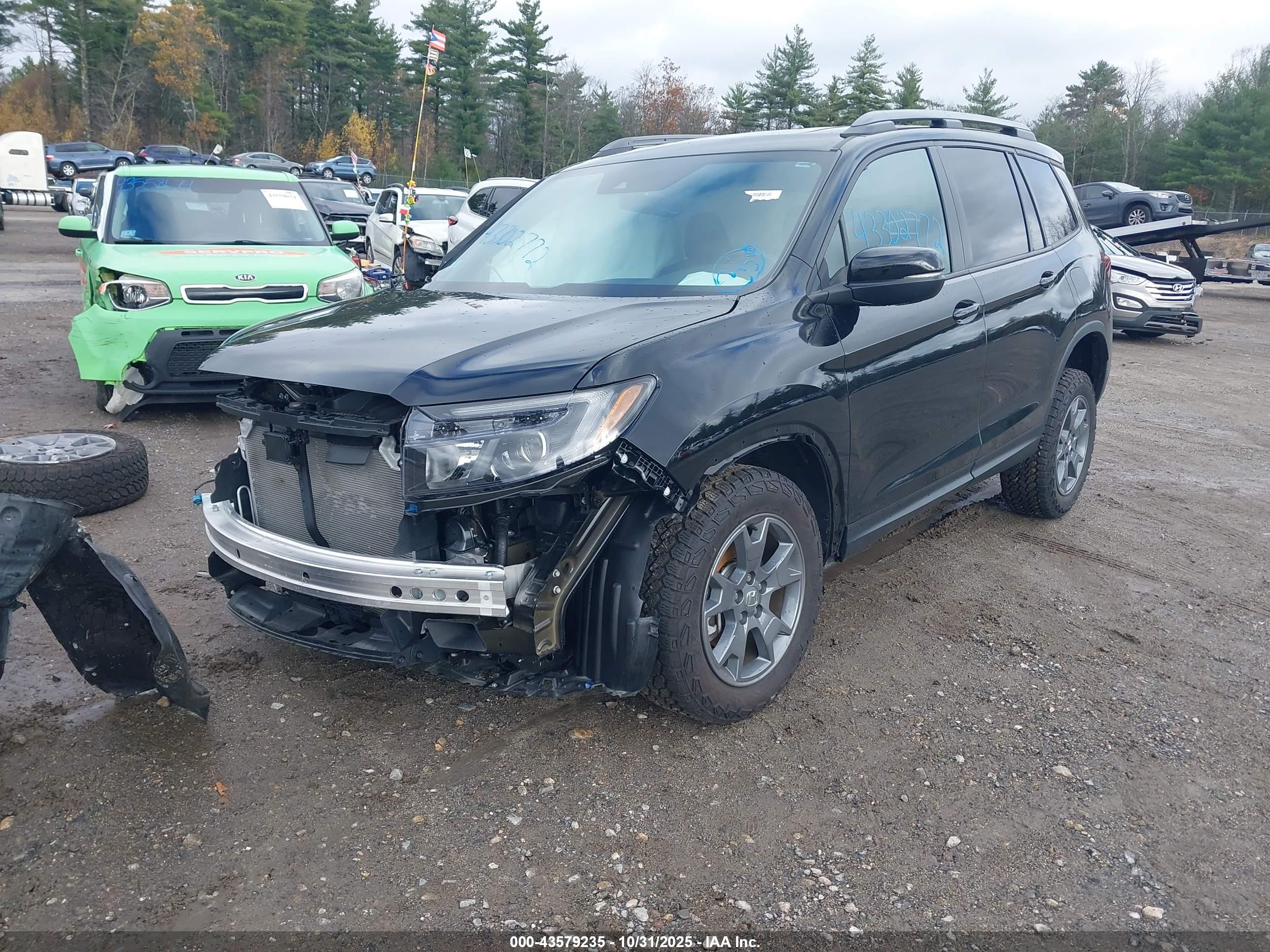 HONDA PASSPORT image 2