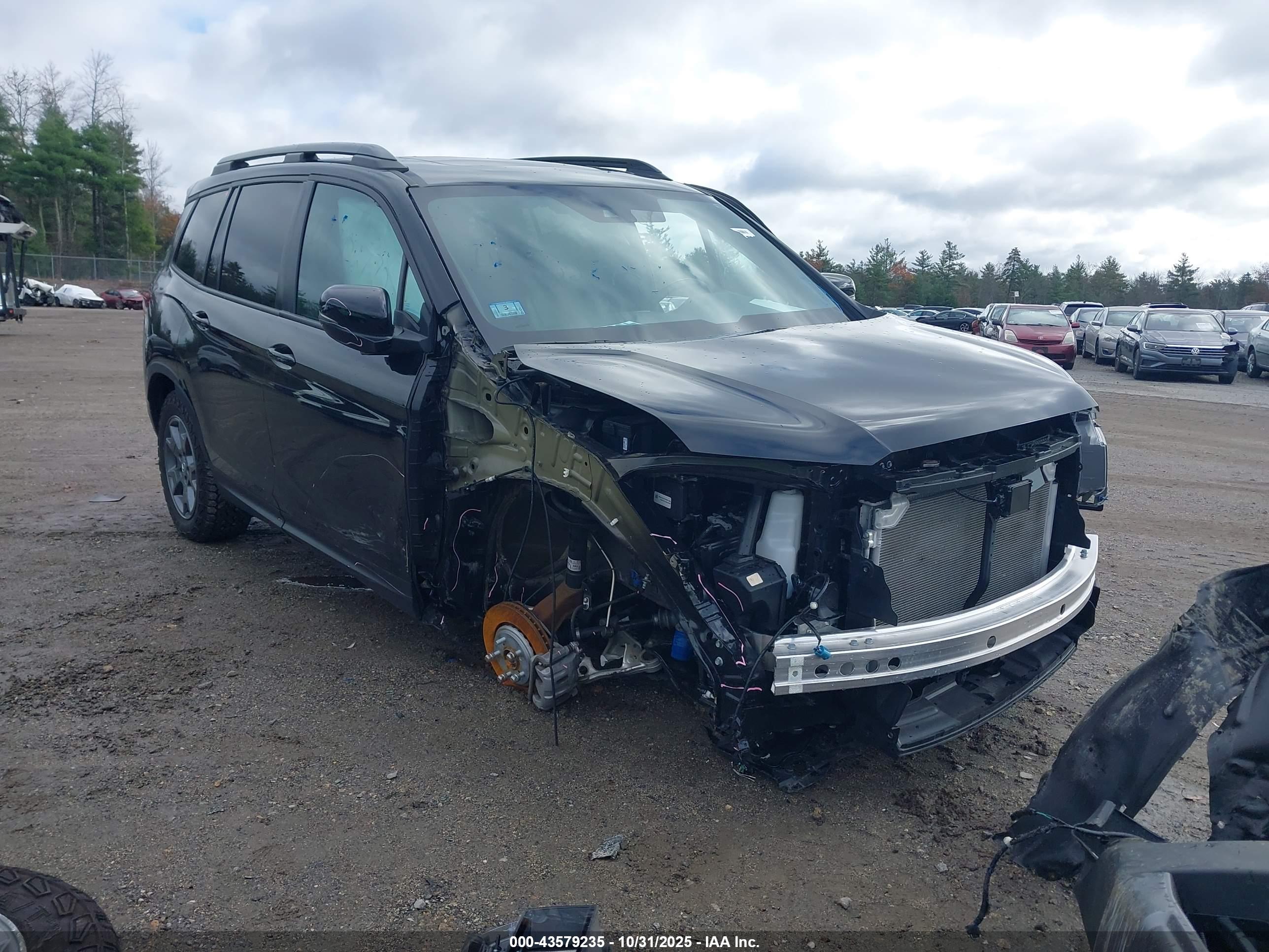 HONDA PASSPORT image 6