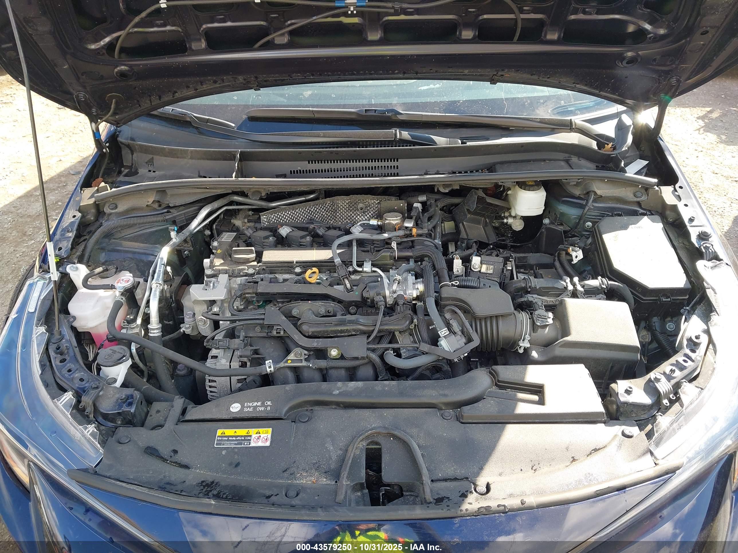 TOYOTA COROLLA image 10