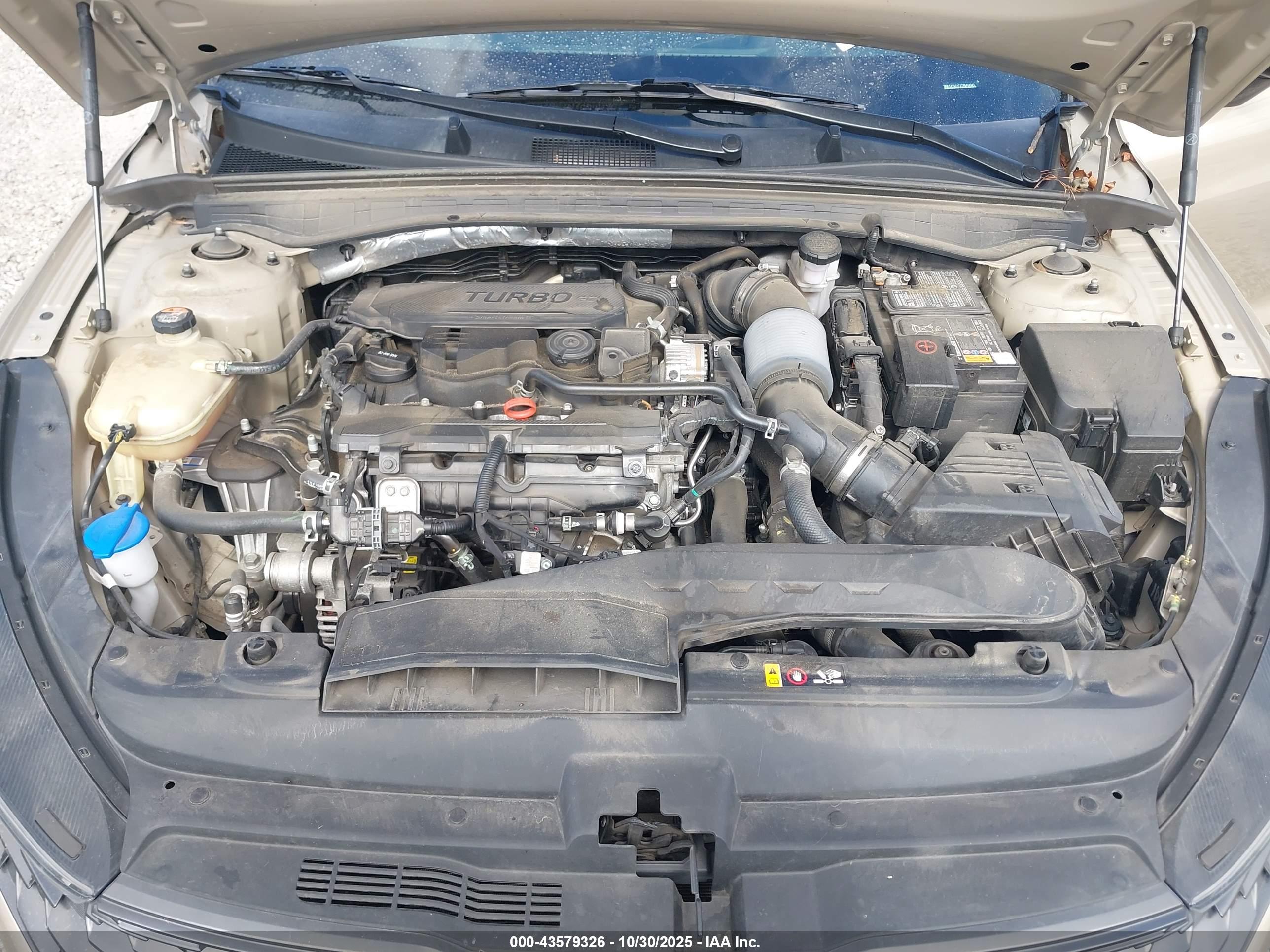 KIA K5 image 10