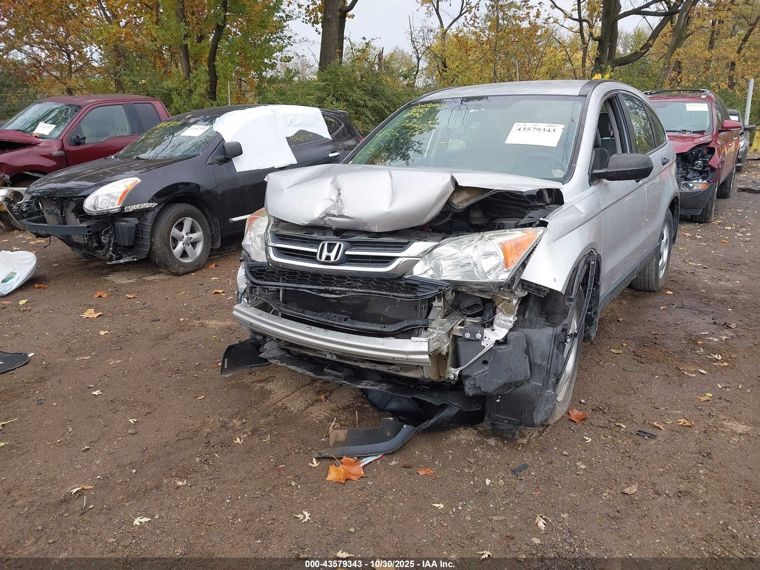 HONDA CR-V image 6