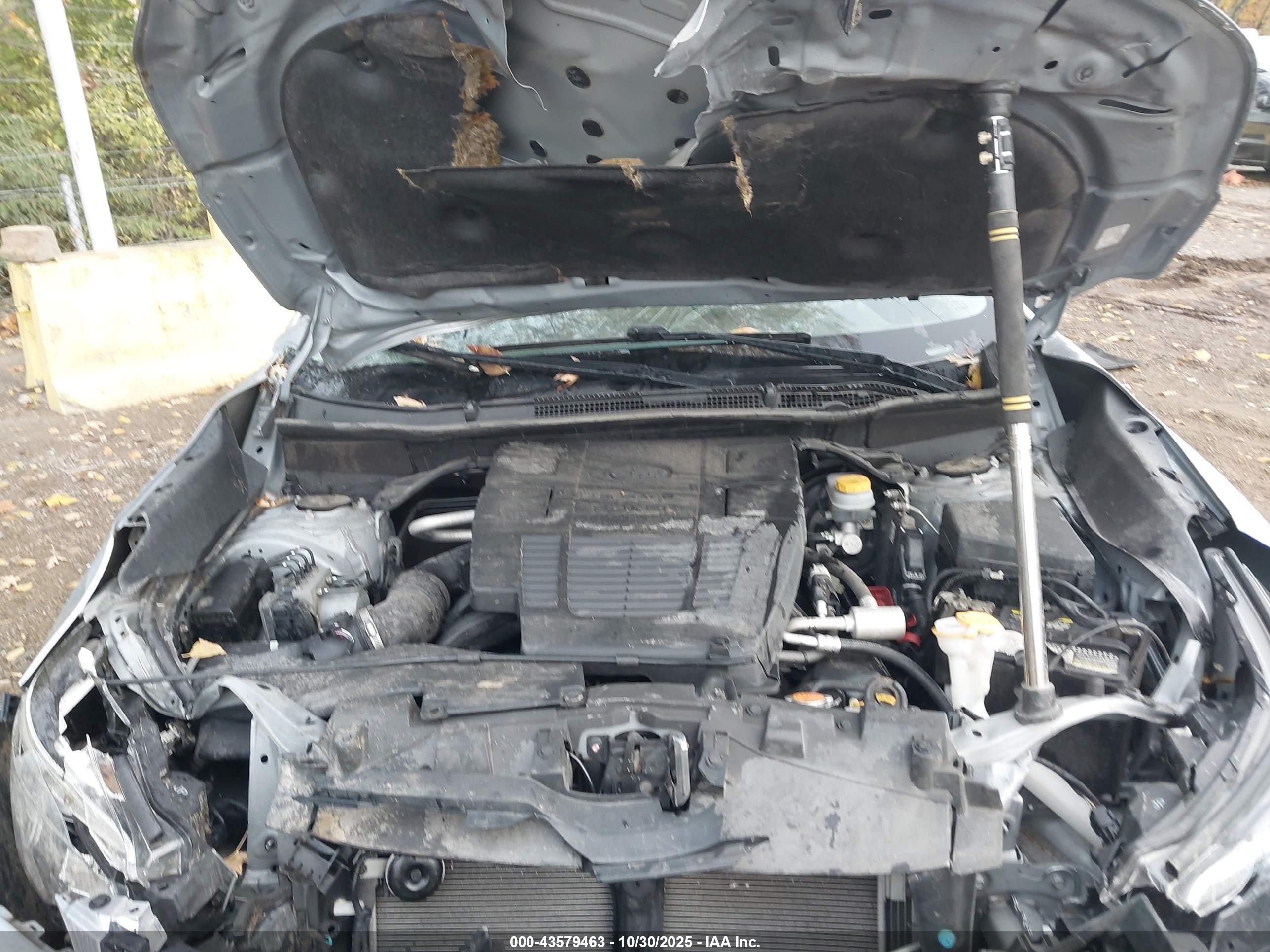 SUBARU FORESTER image 10