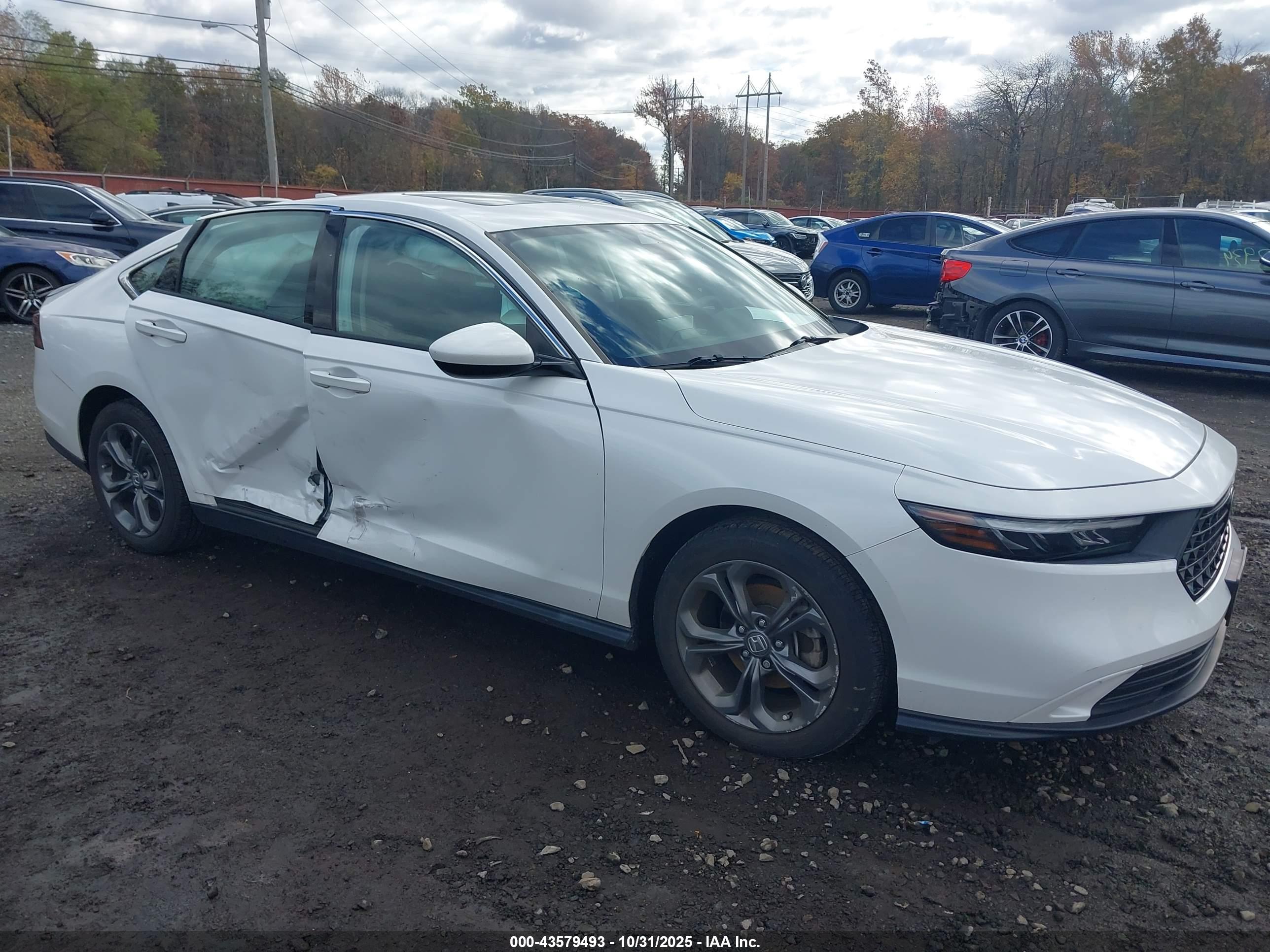 HONDA ACCORD image 6