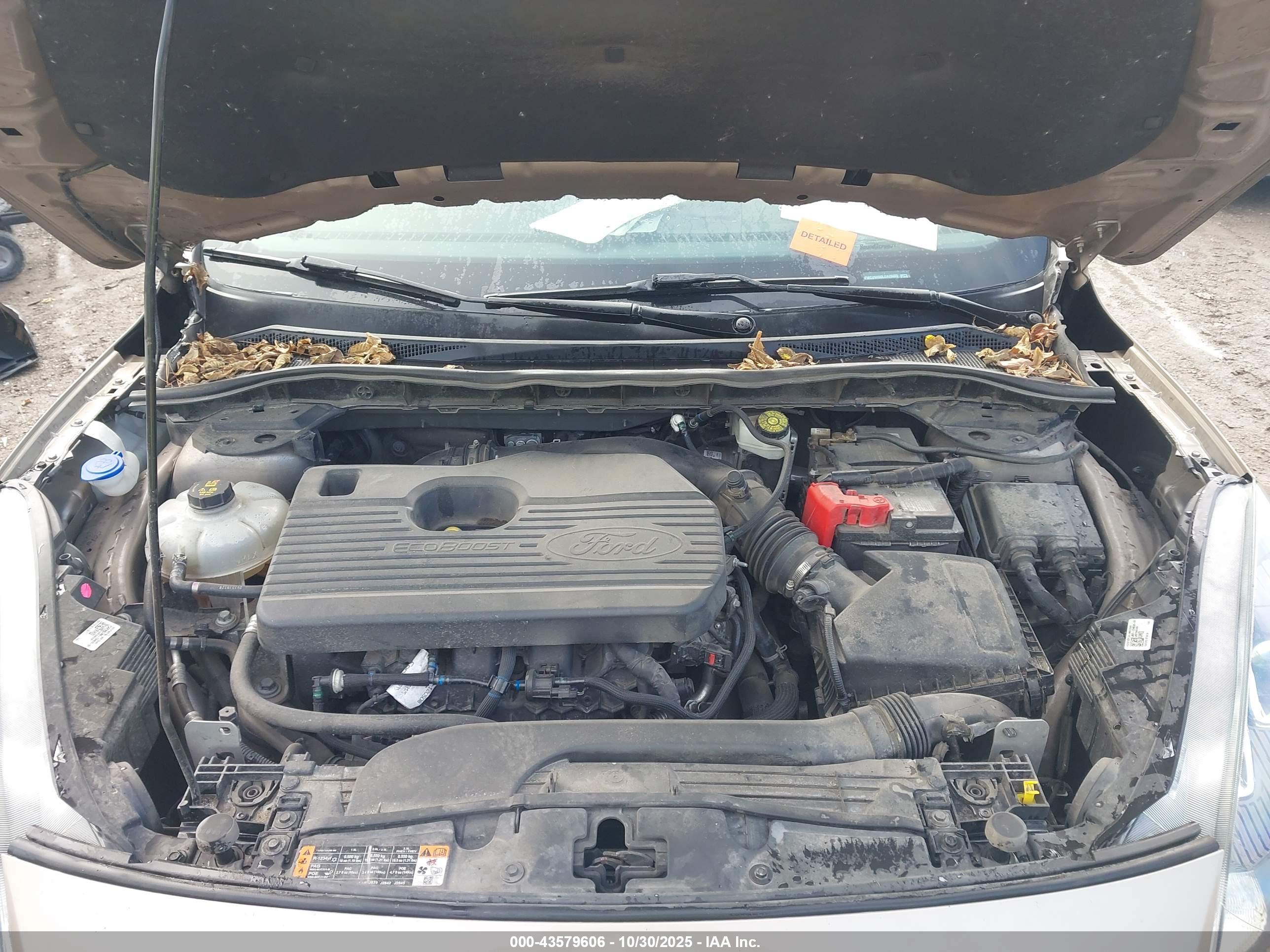 FORD ESCAPE image 10