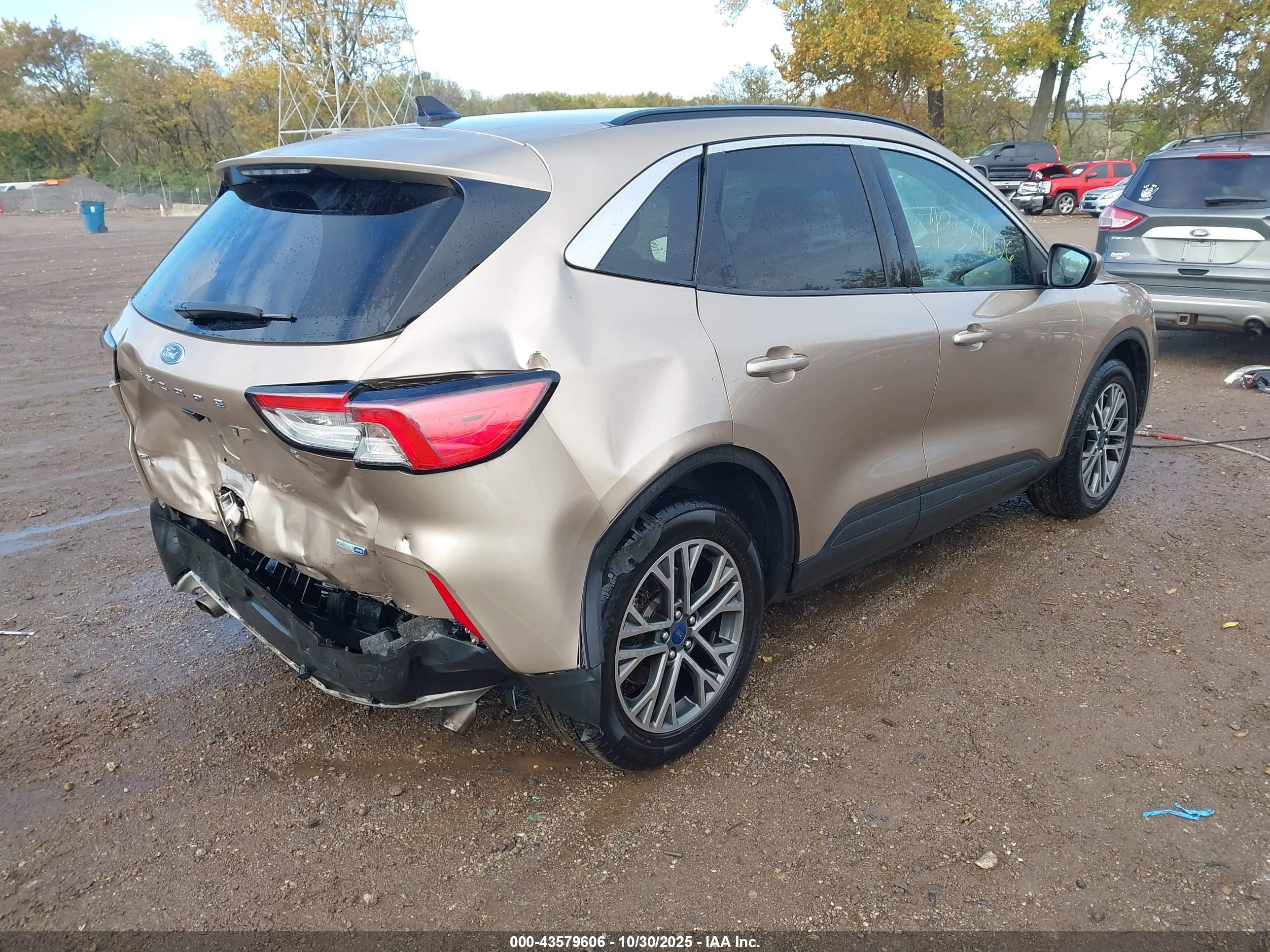 FORD ESCAPE image 4