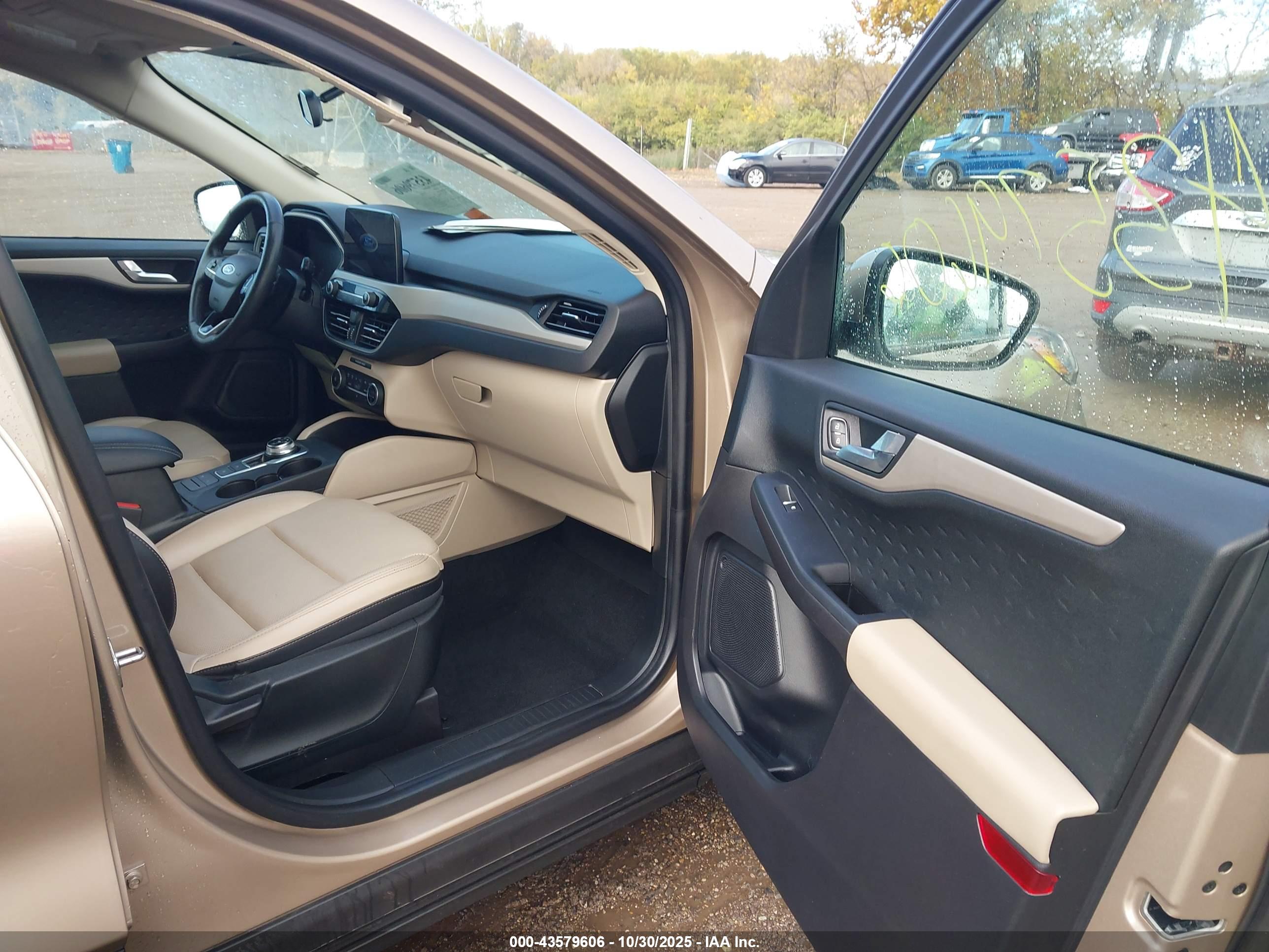 FORD ESCAPE image 5