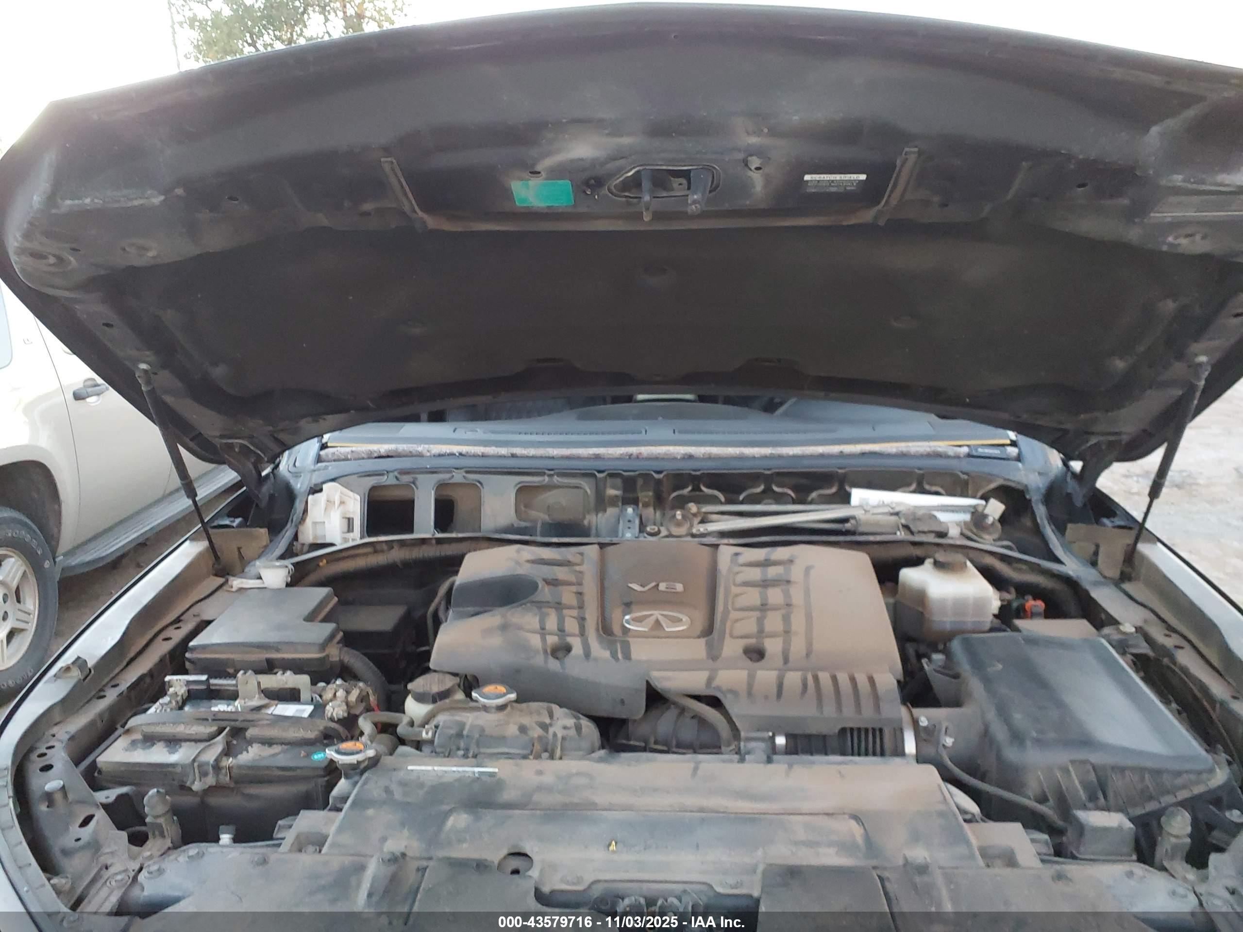 INFINITI QX80 image 10