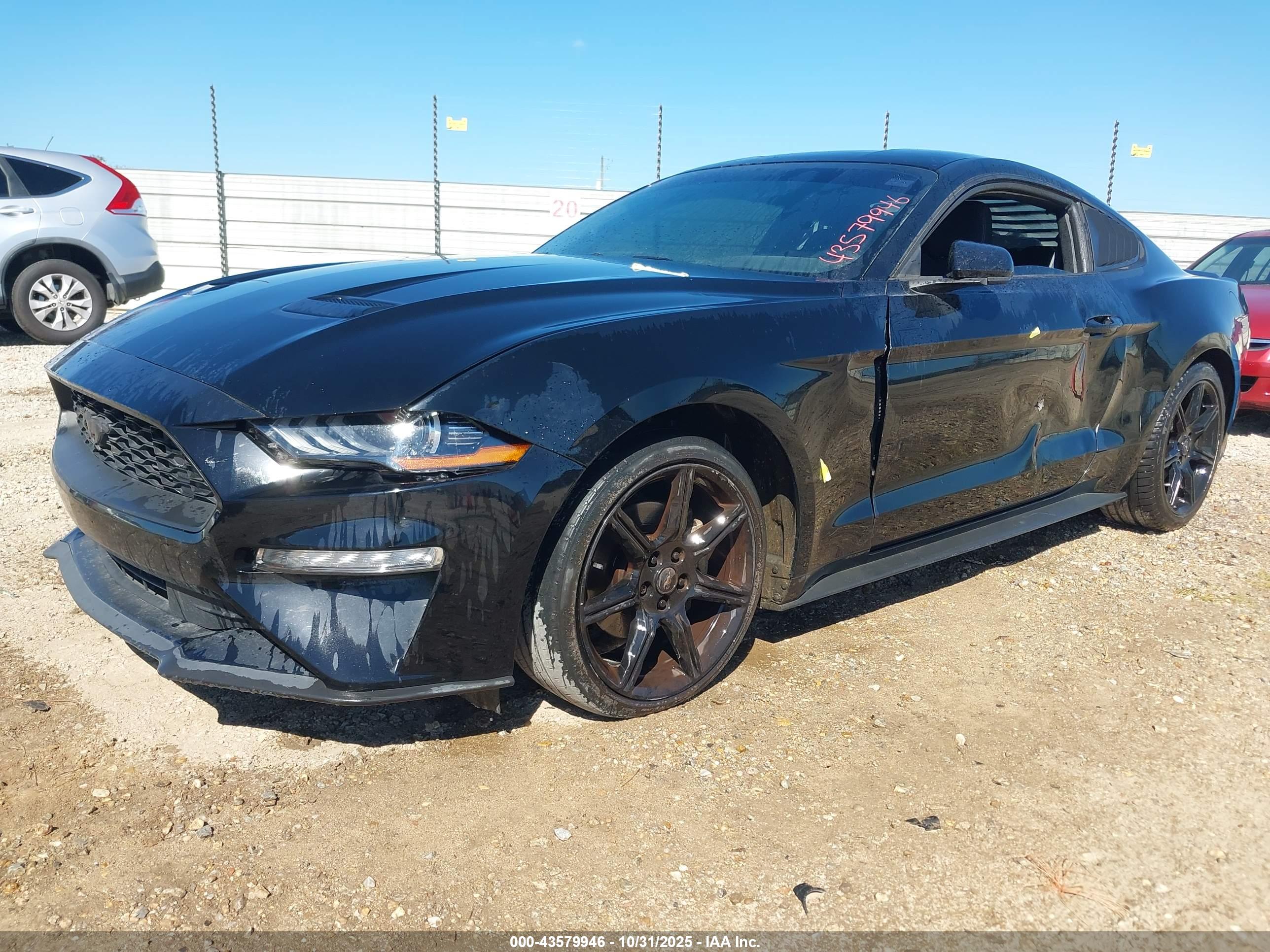 FORD MUSTANG image 2