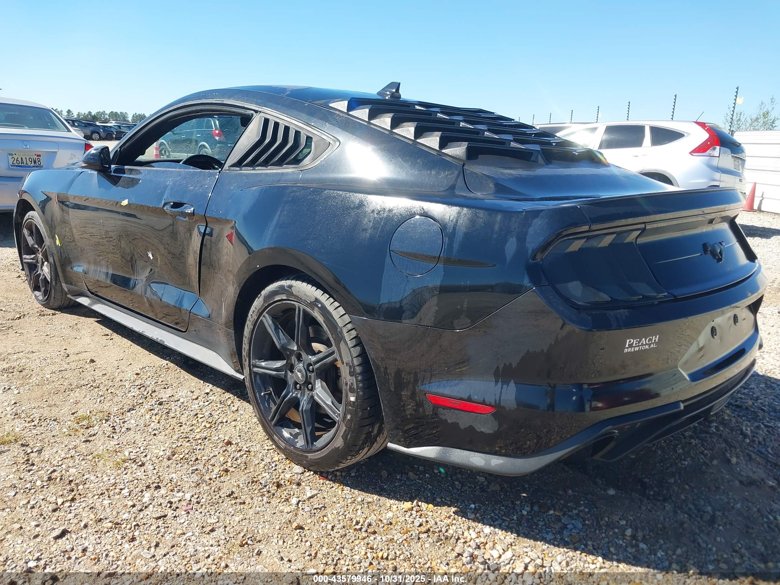 FORD MUSTANG image 3
