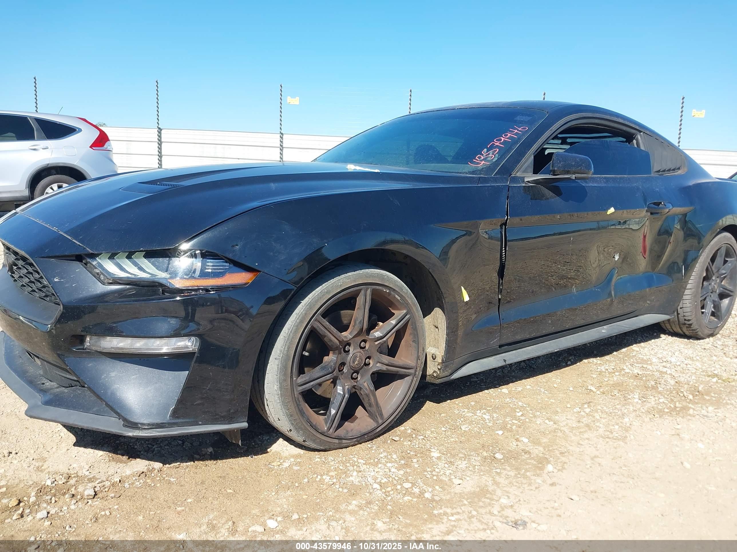 FORD MUSTANG image 6