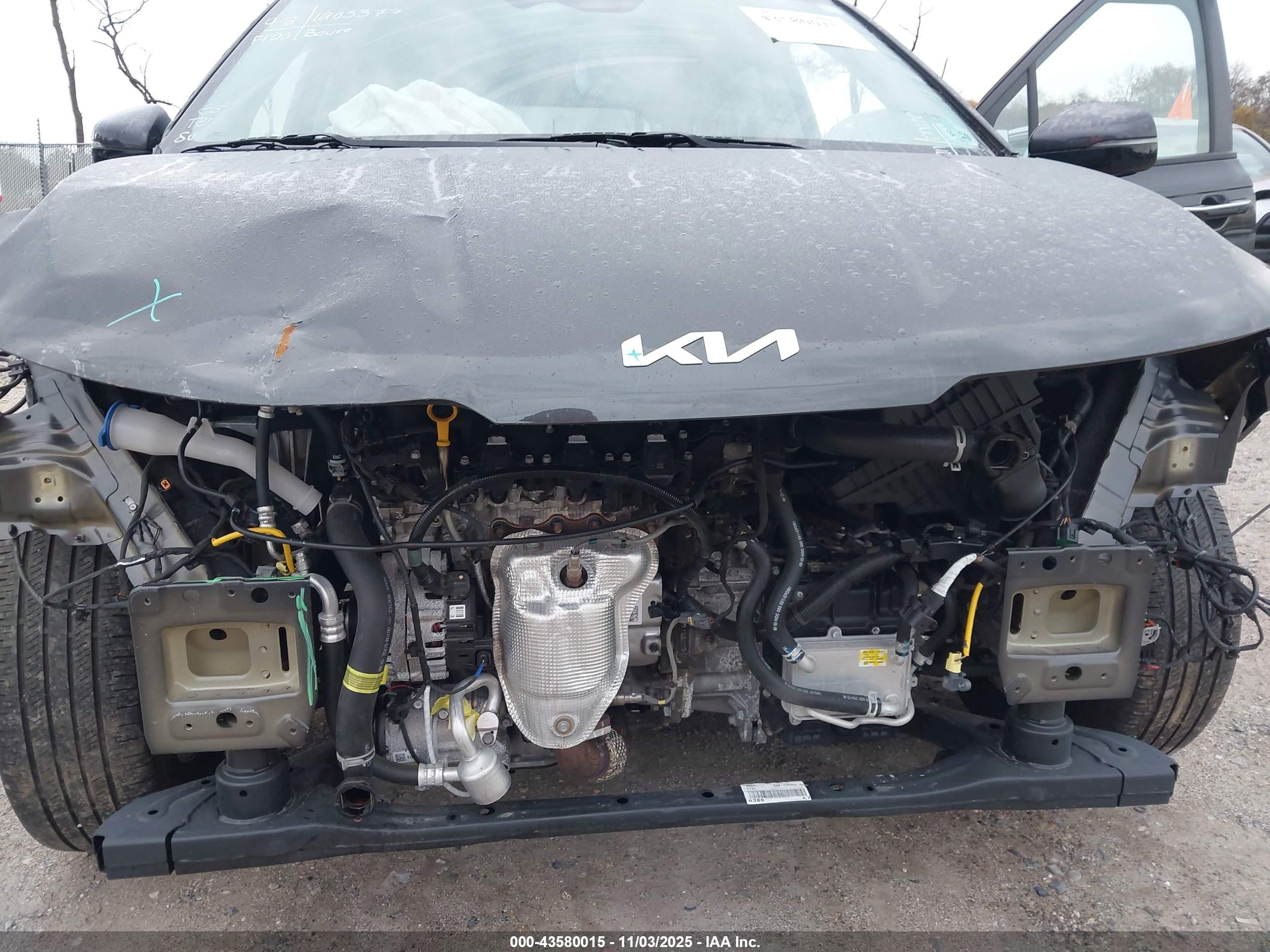 KIA CARNIVAL image 6