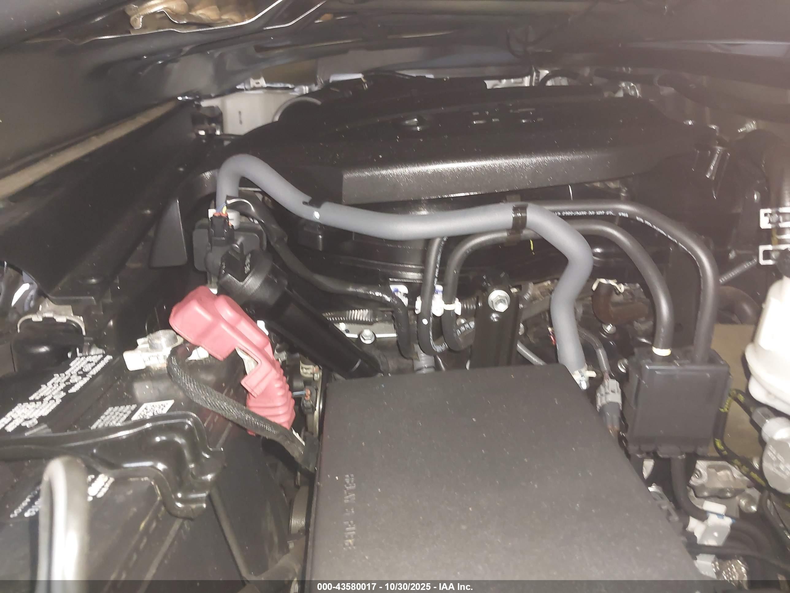 TOYOTA TACOMA image 10