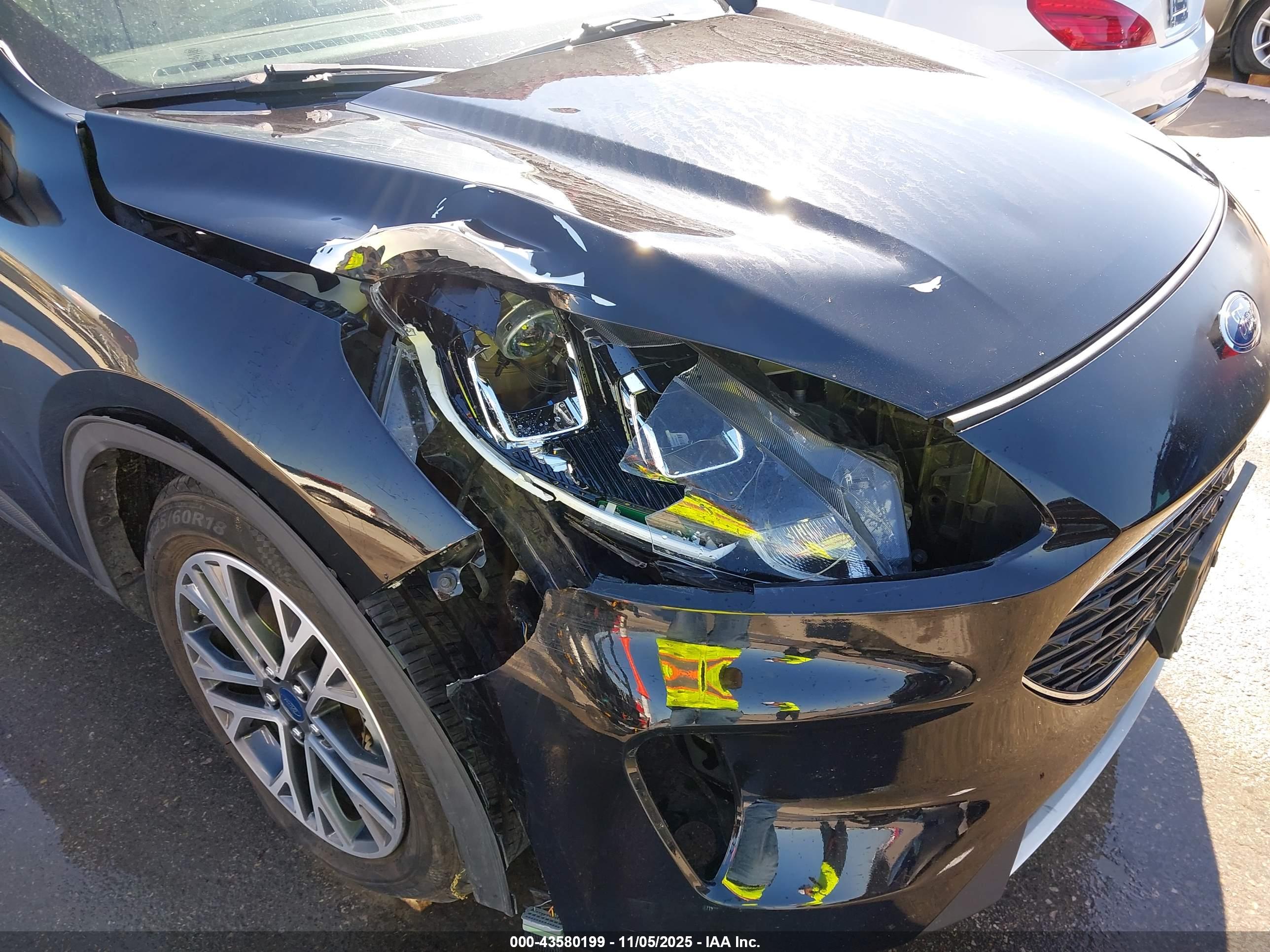 FORD ESCAPE image 6